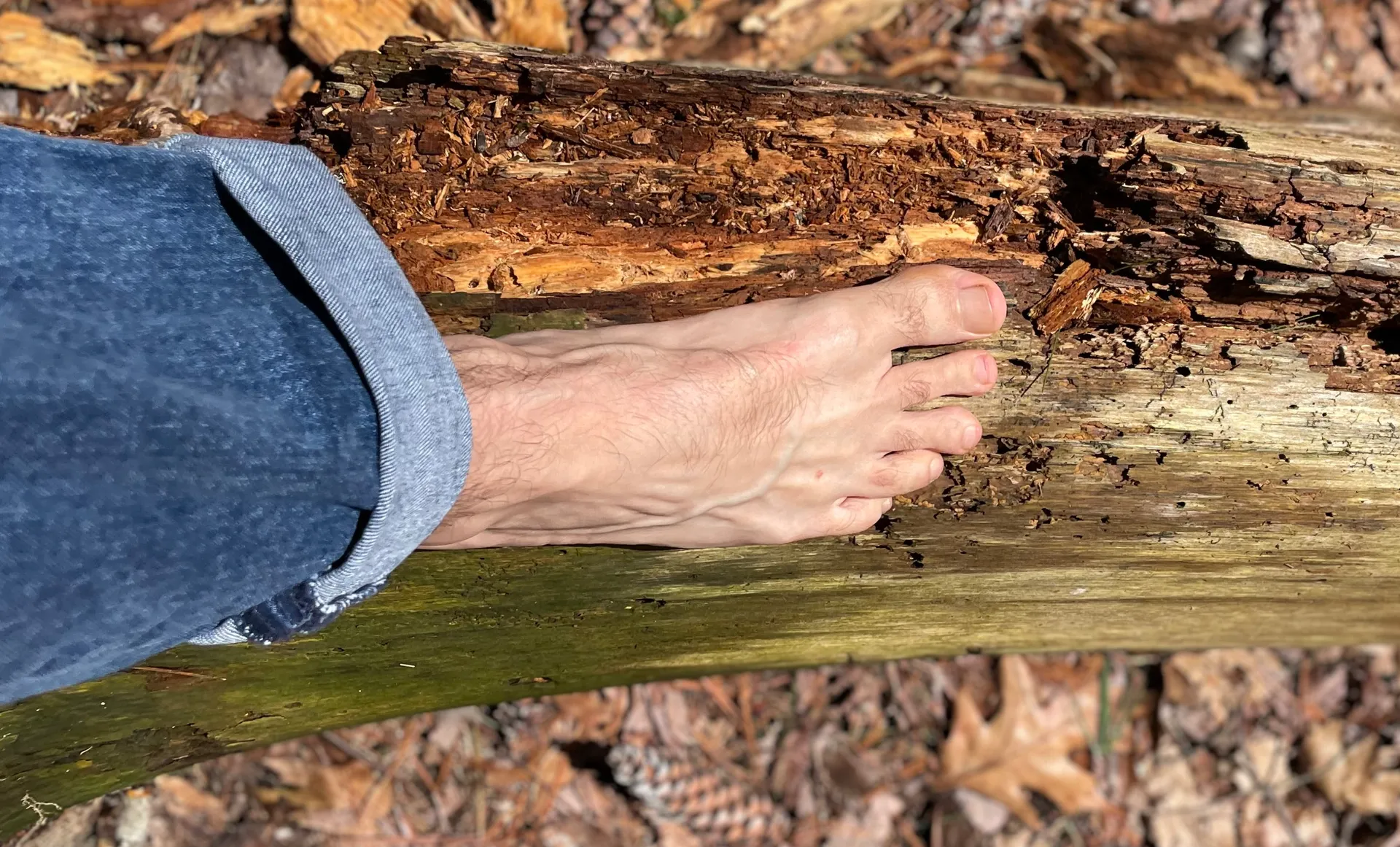 FootOrFeet OnlyFans header