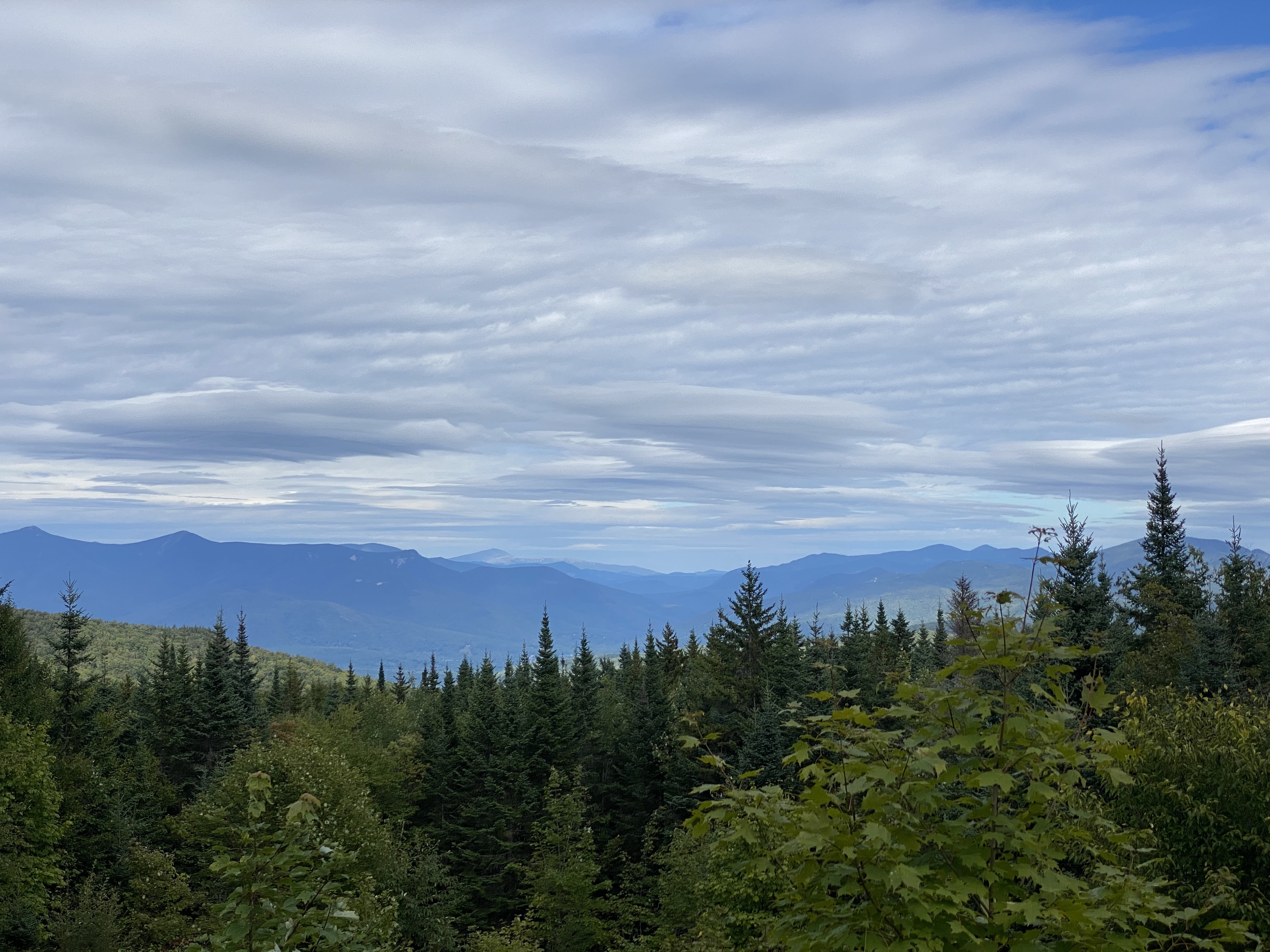 Shelbzz OnlyFans header