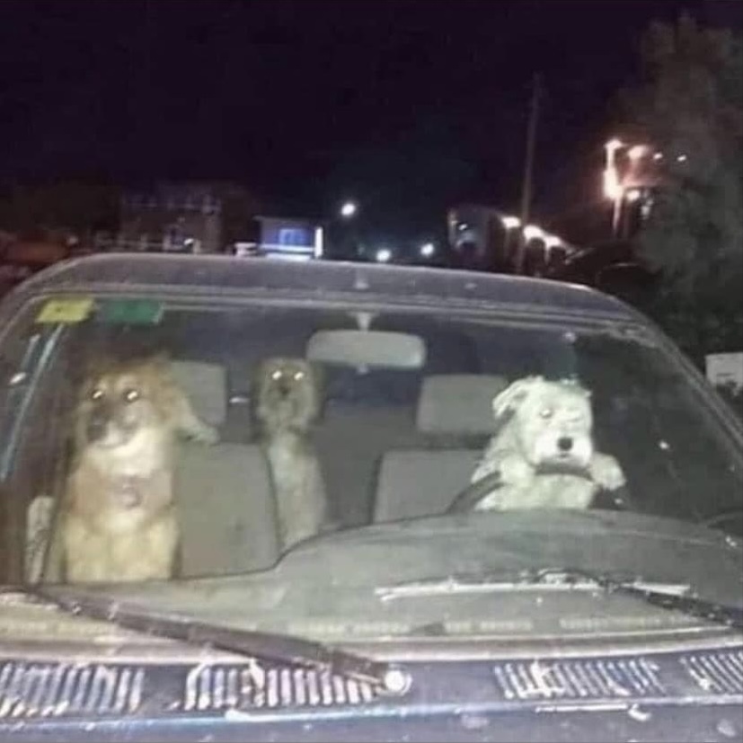 Shin-Dull OnlyFans header