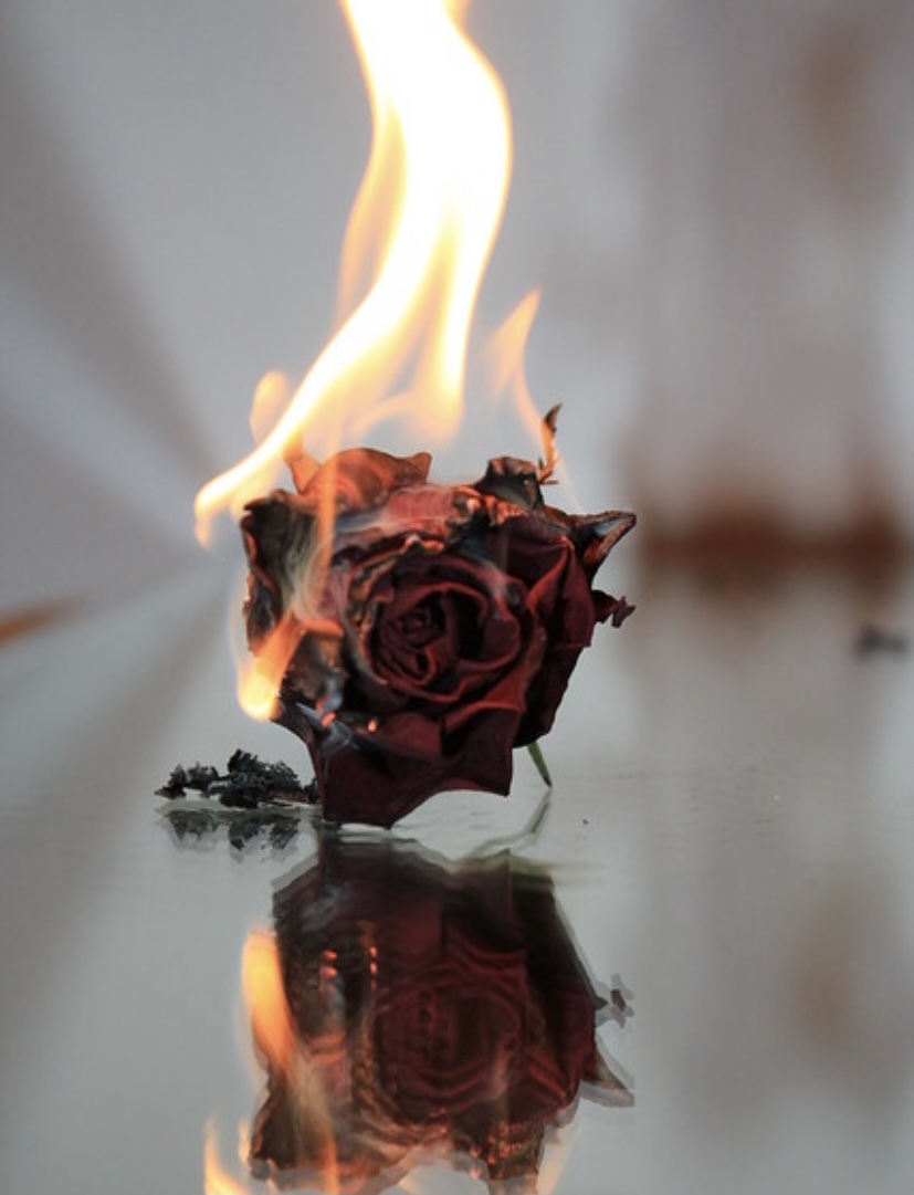 Firstclassking OnlyFans header