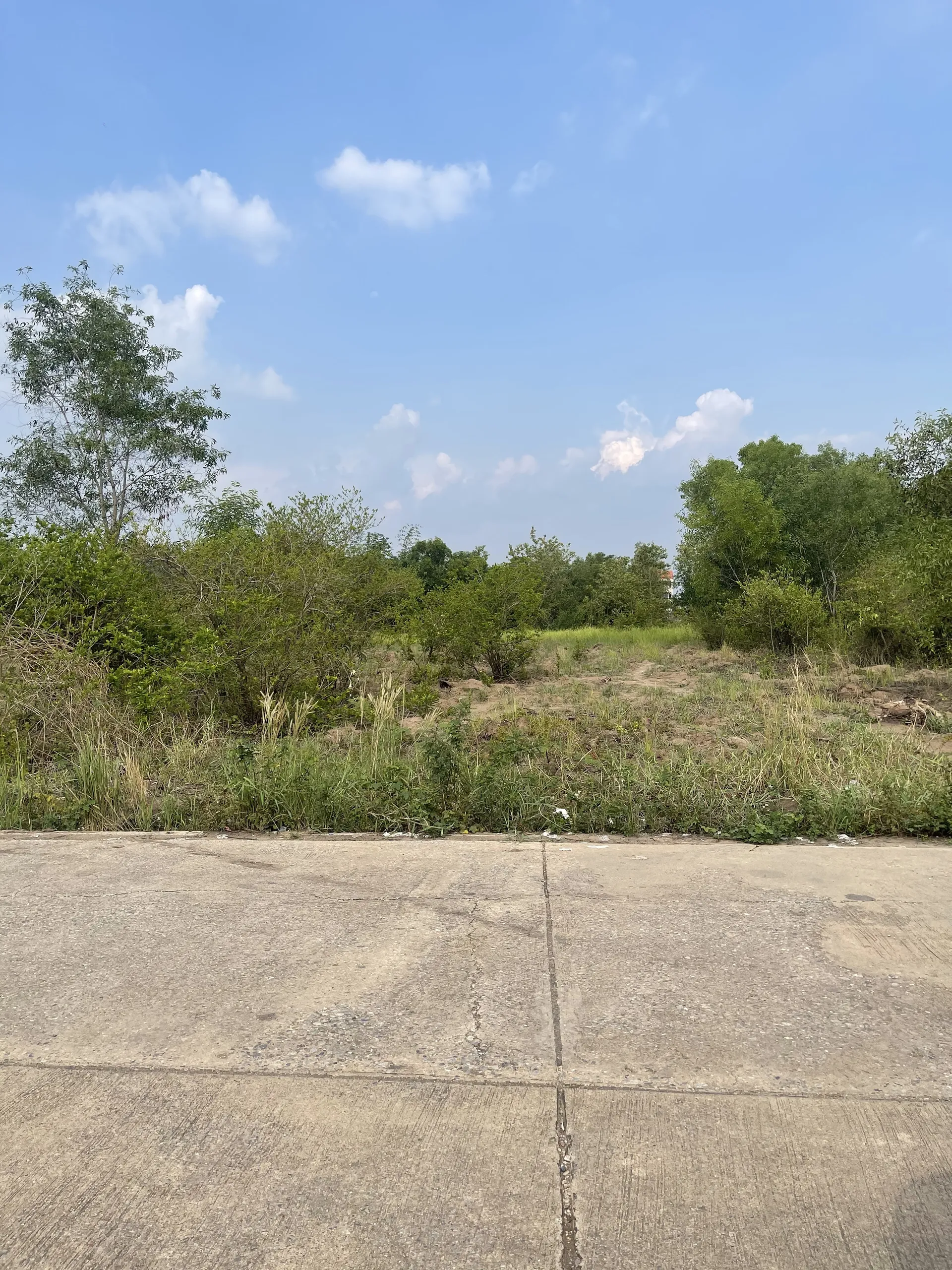 Ifirst OnlyFans header