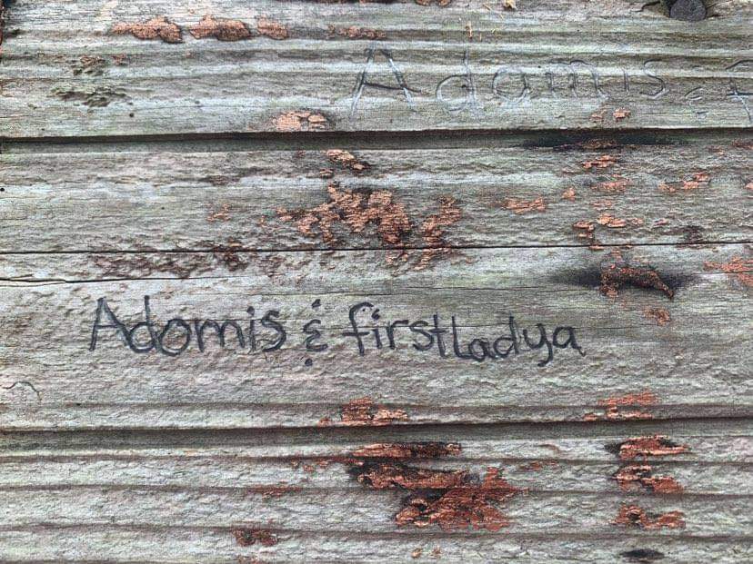 First Lady A OnlyFans header