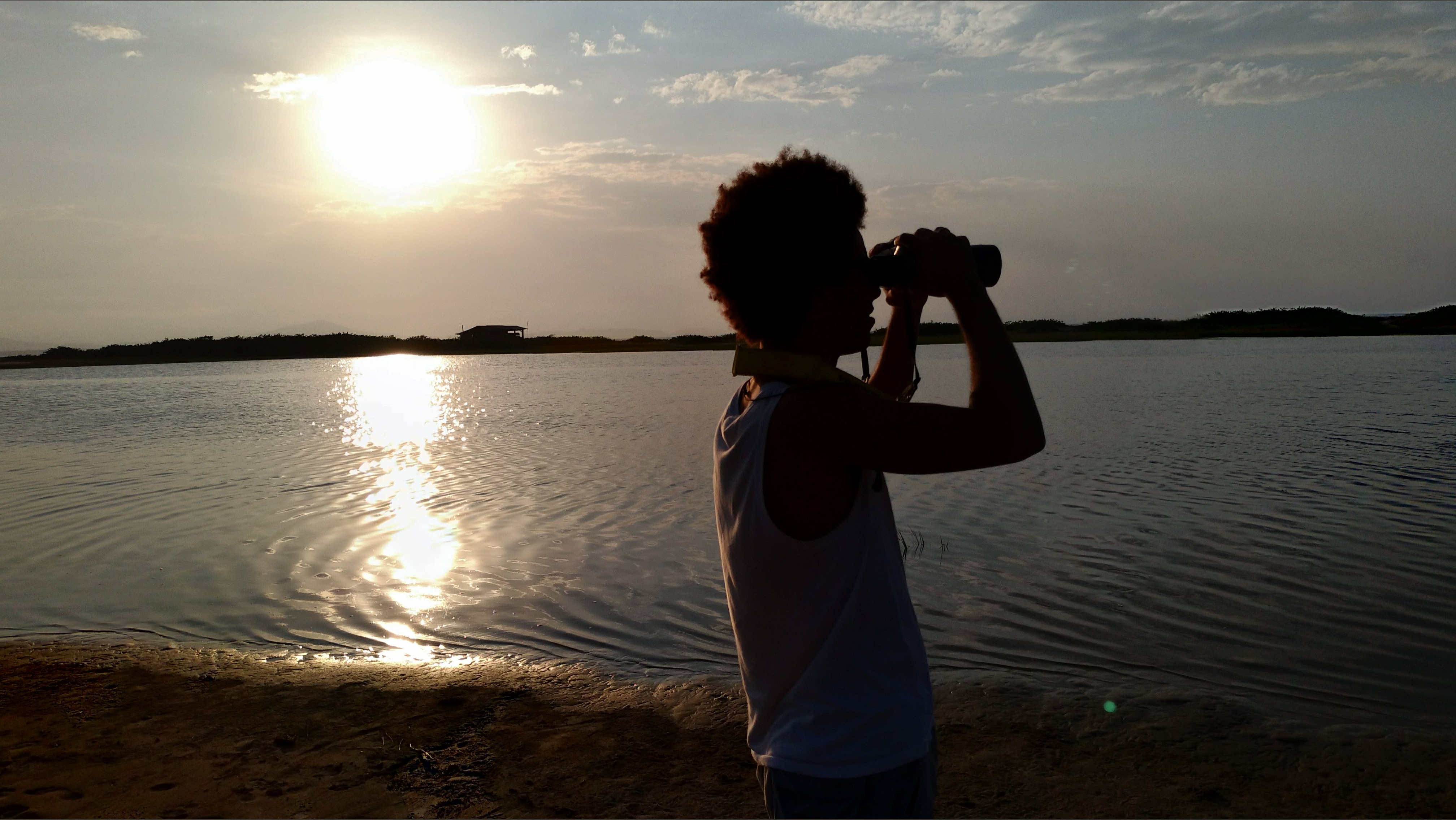 First Sunflower OnlyFans header