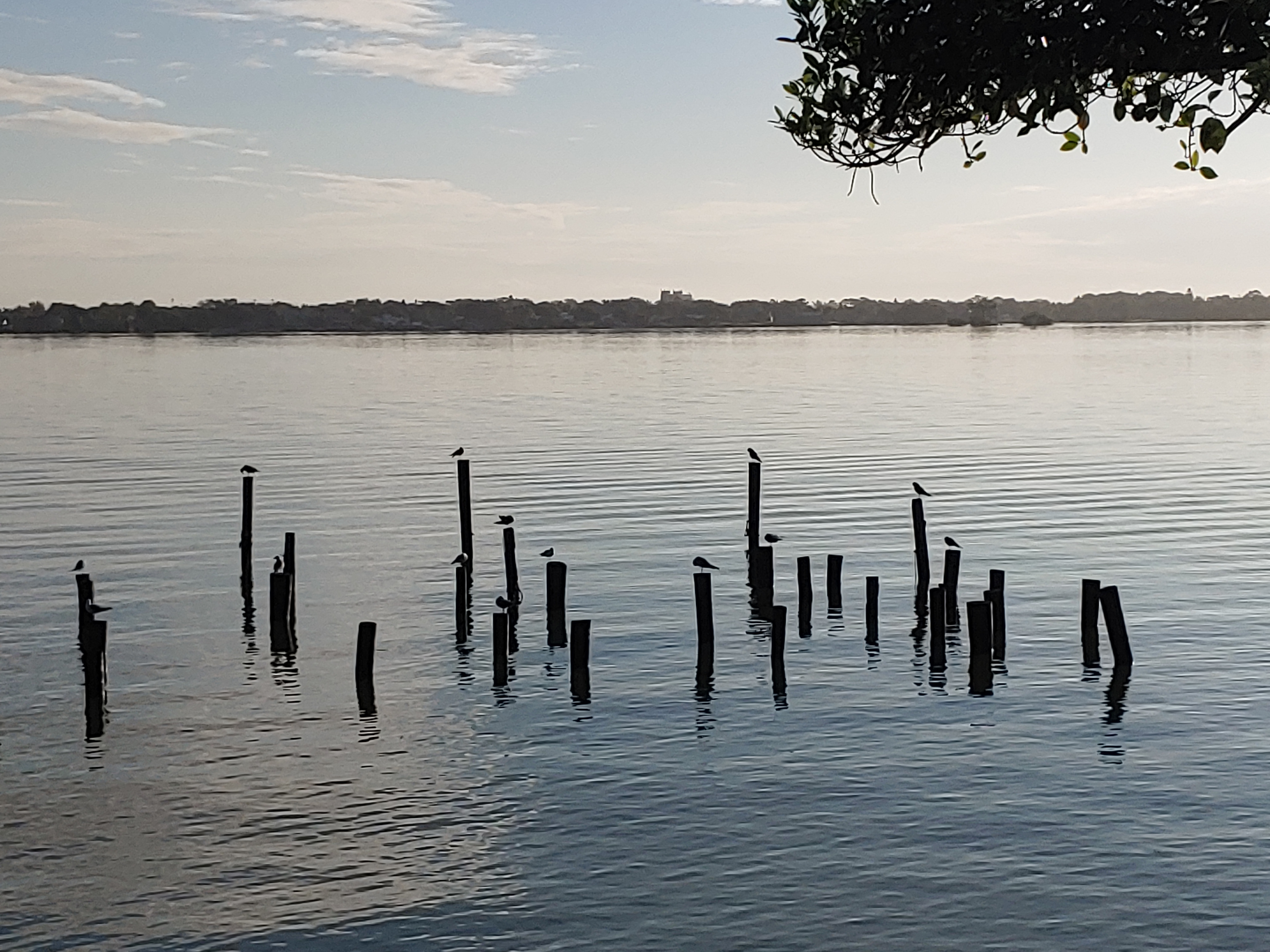 Roberto Reading OnlyFans header