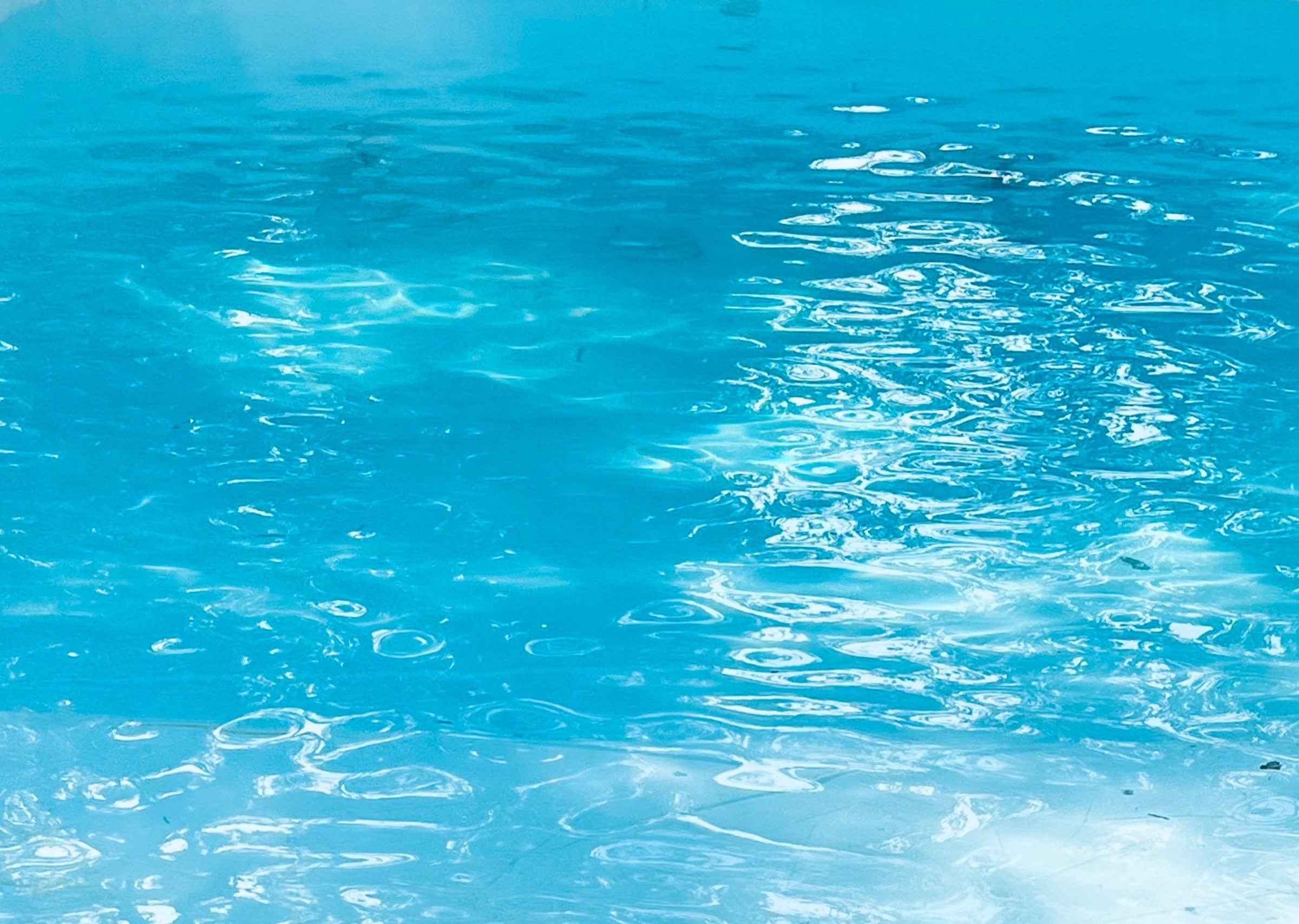 Your Fish In The Water OnlyFans header