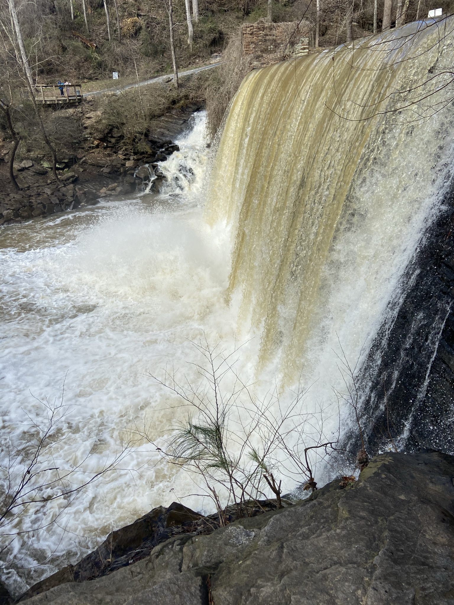 Fit_freak OnlyFans header