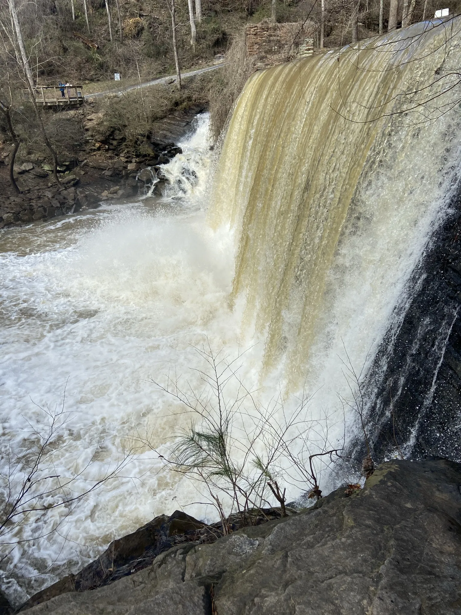 Fit_freak OnlyFans header