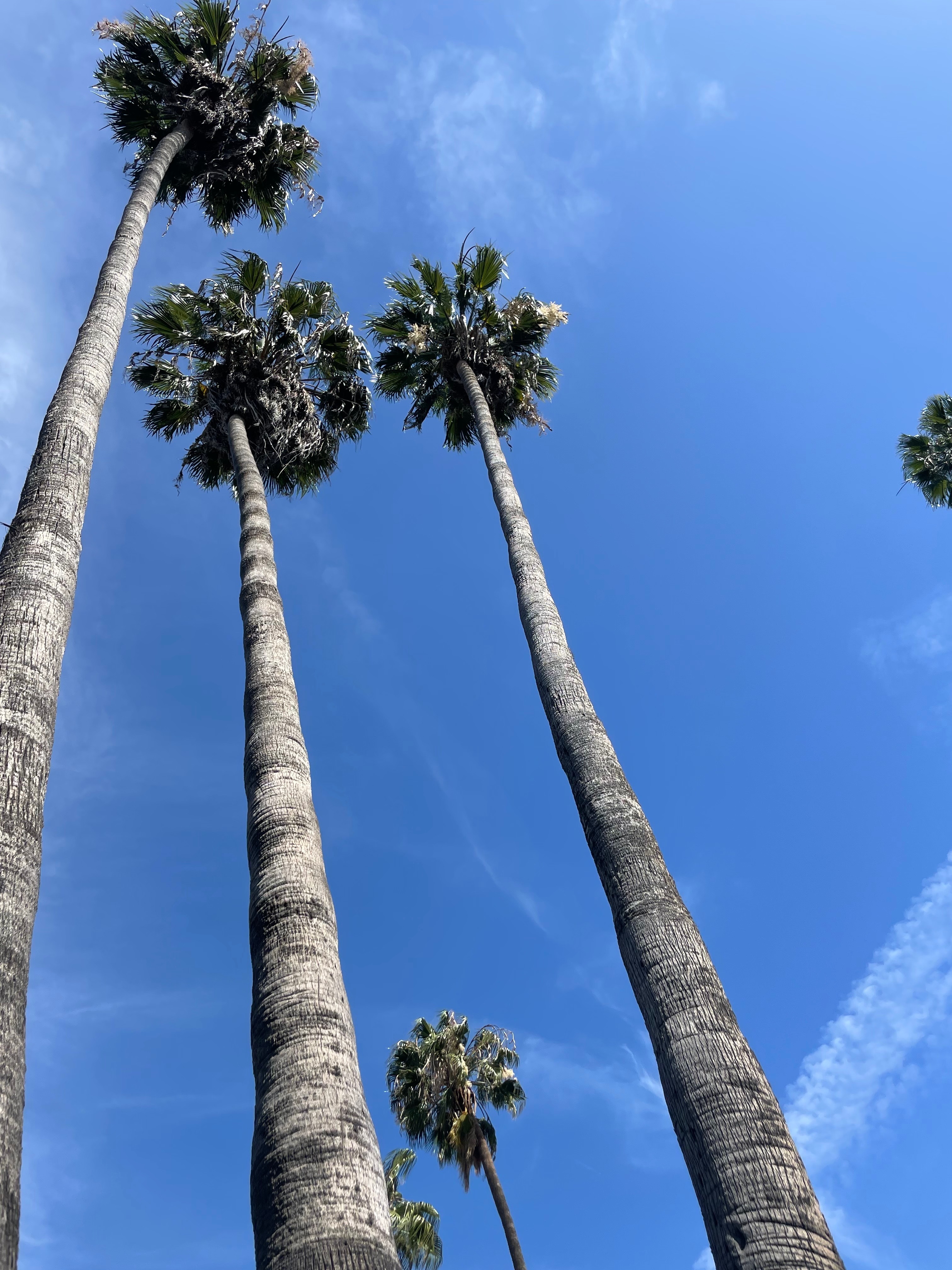 Fit &amp; Freaky w/ VictoriaMinx OnlyFans header