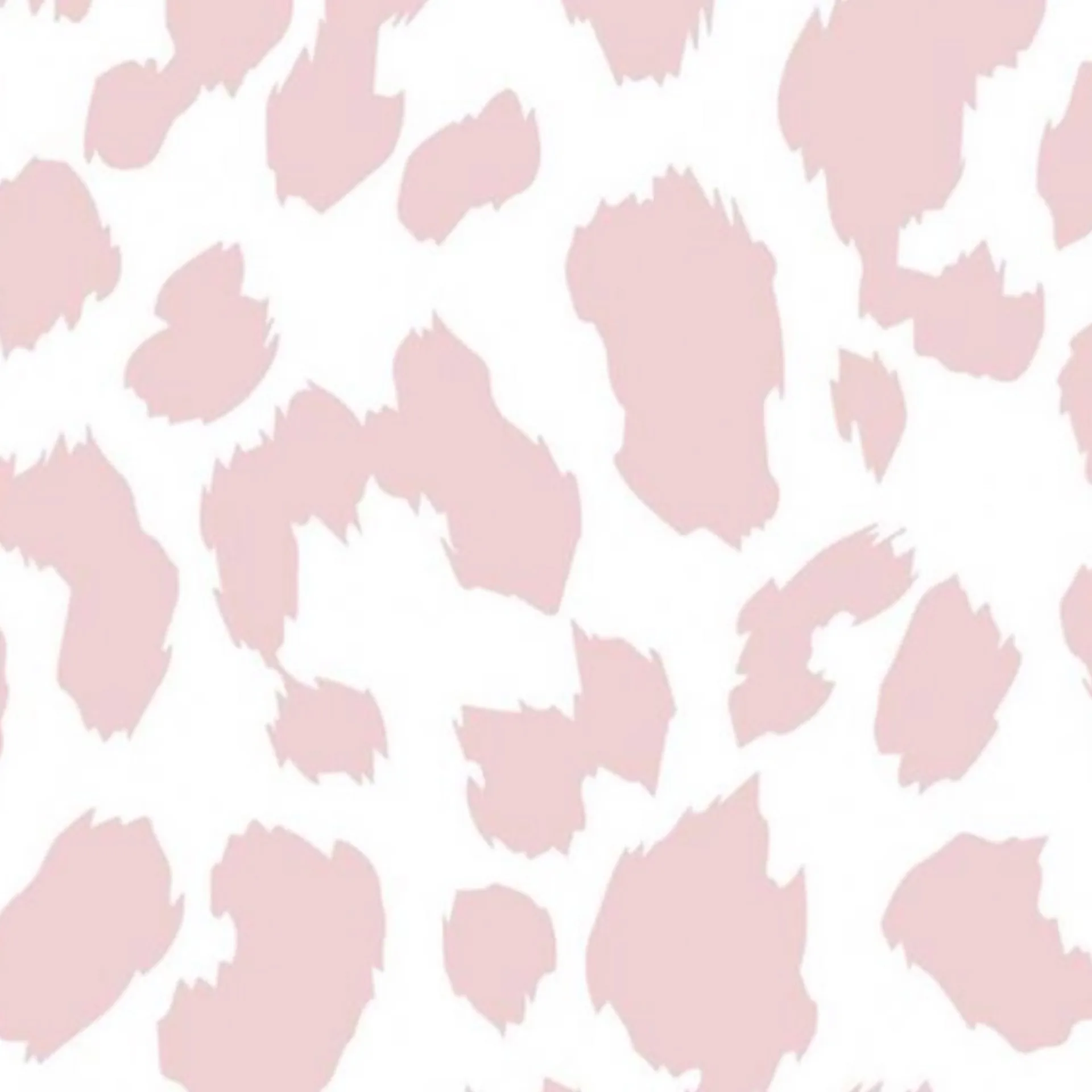 Lena Flex OnlyFans header