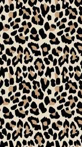 bbygirl OnlyFans header