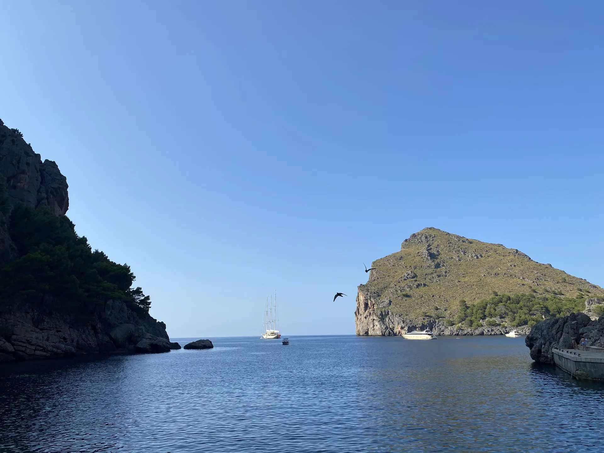 fitBarry OnlyFans header