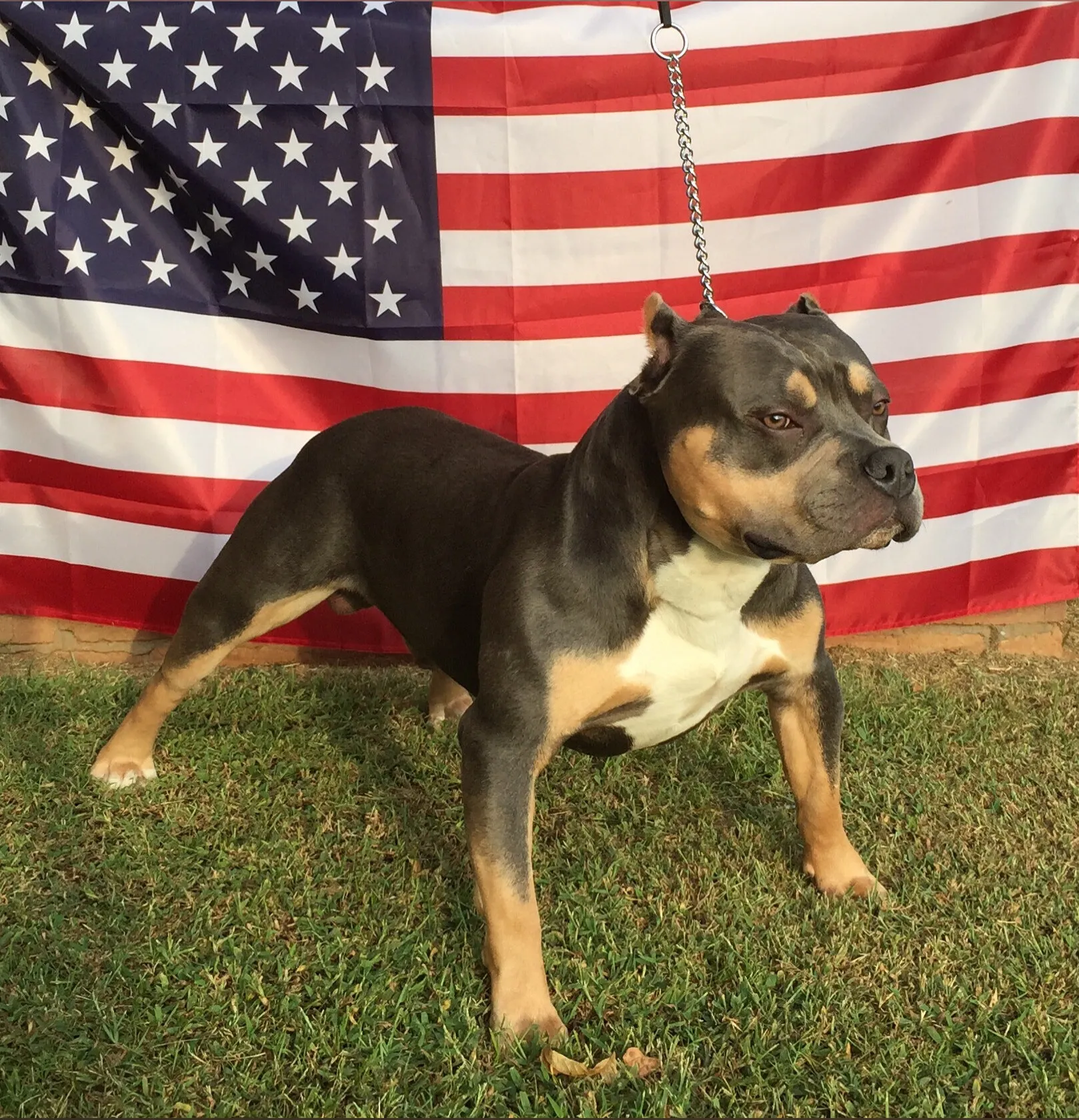 Camcowboy OnlyFans header