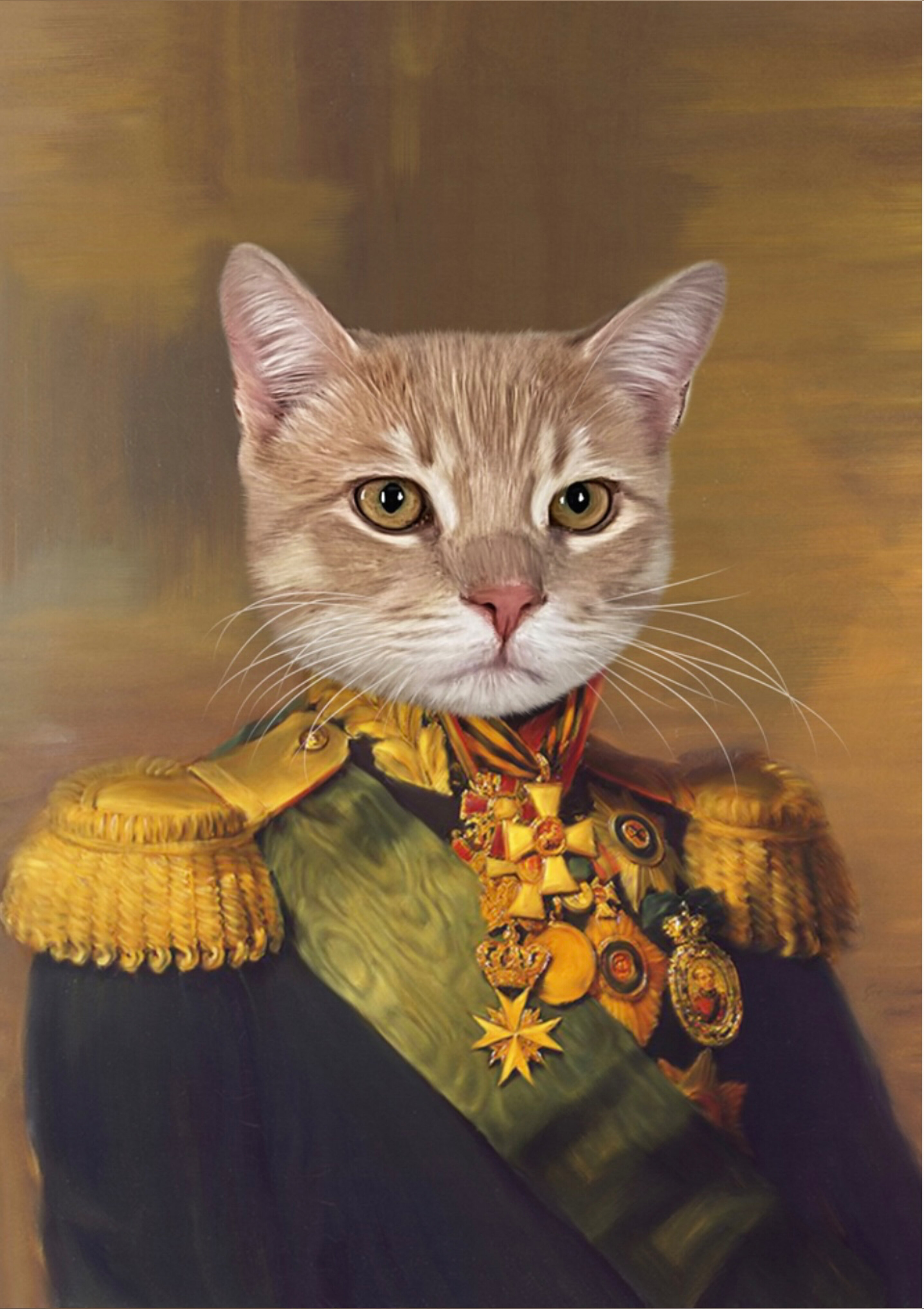 Fit Fat Dad OnlyFans