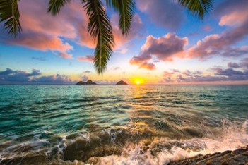 Fit &amp; Fun Haole OnlyFans header