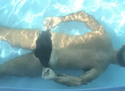 fit.gym.bi OnlyFans header