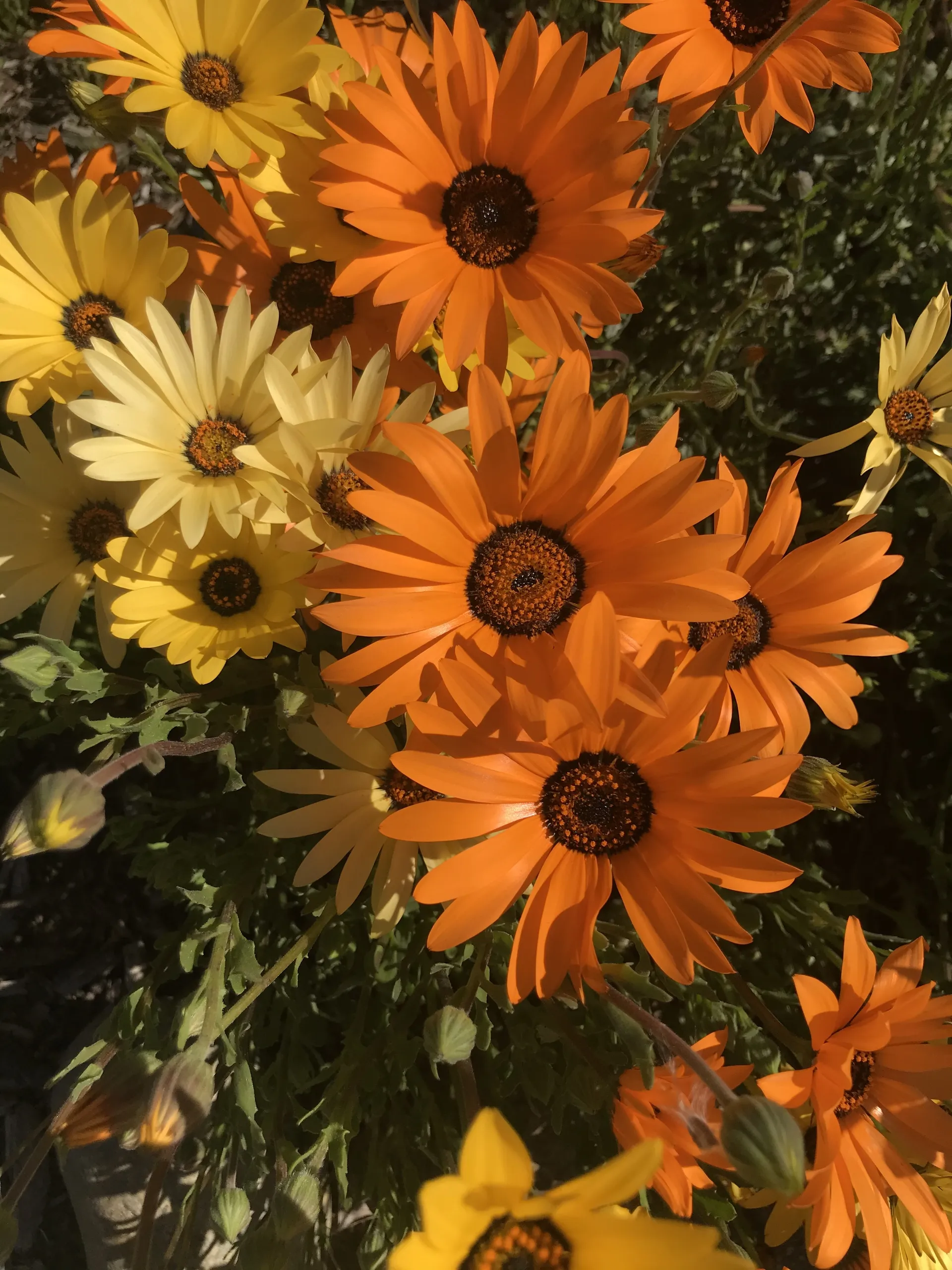 Brittany Baratta OnlyFans header