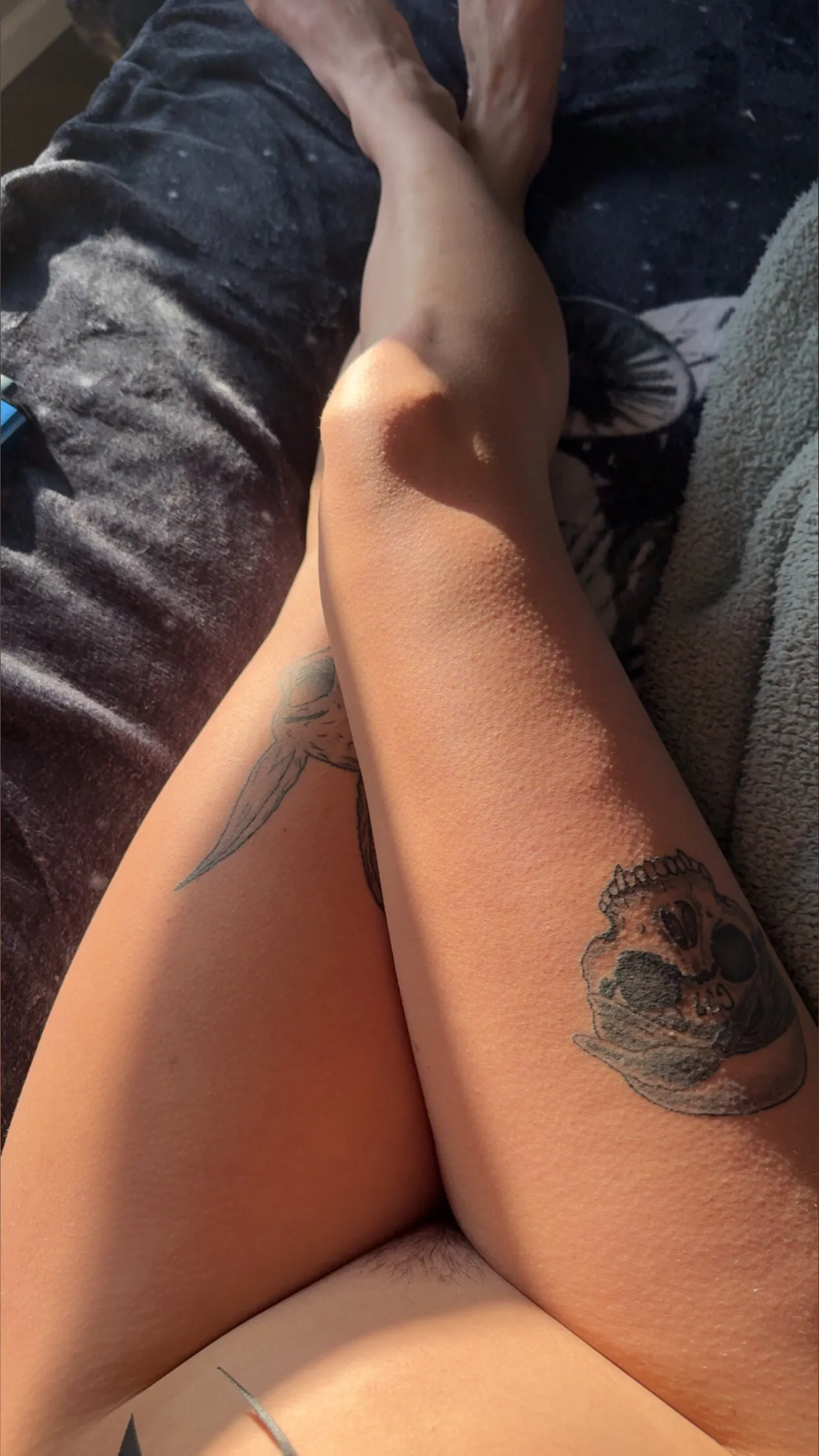 Liz🦋 OnlyFans header