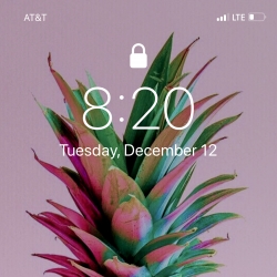 not-important OnlyFans