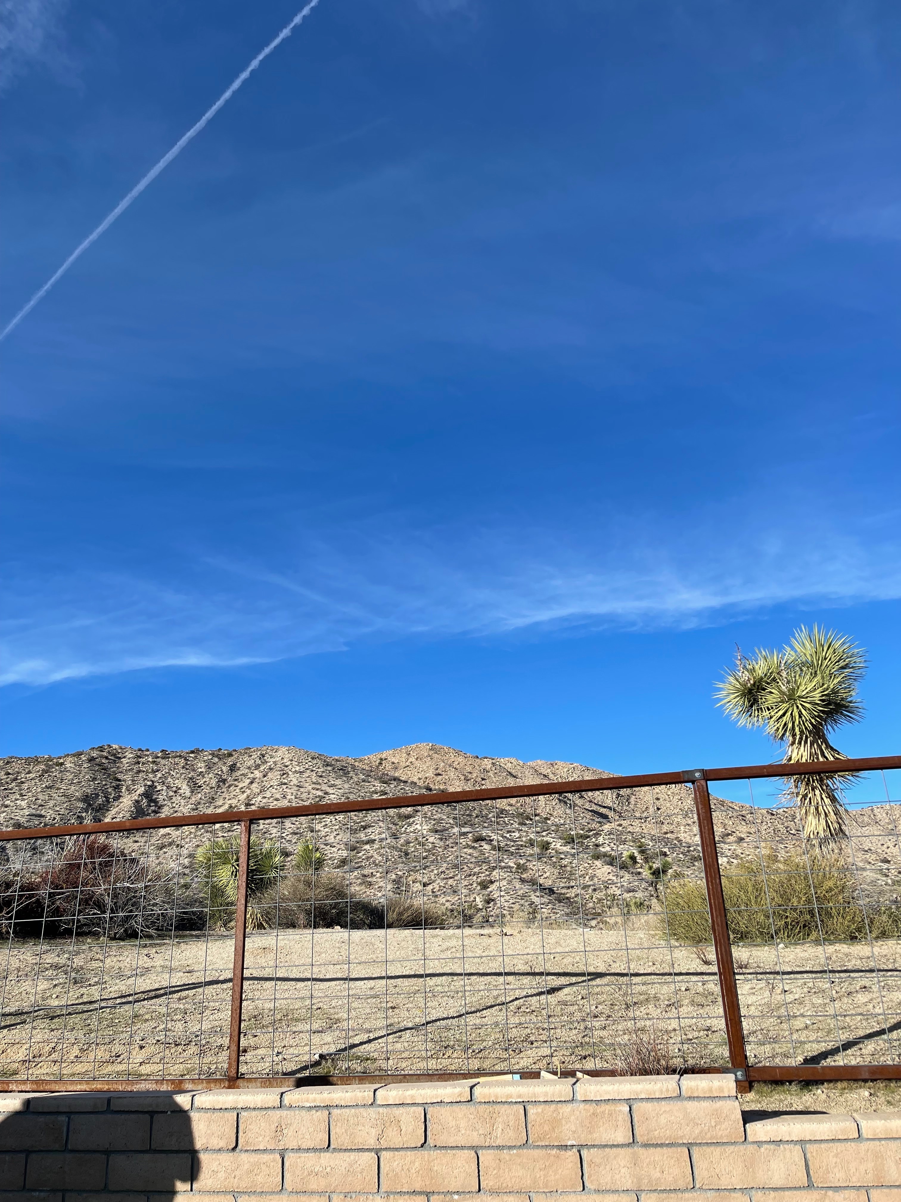 Fittyandthiccy OnlyFans header