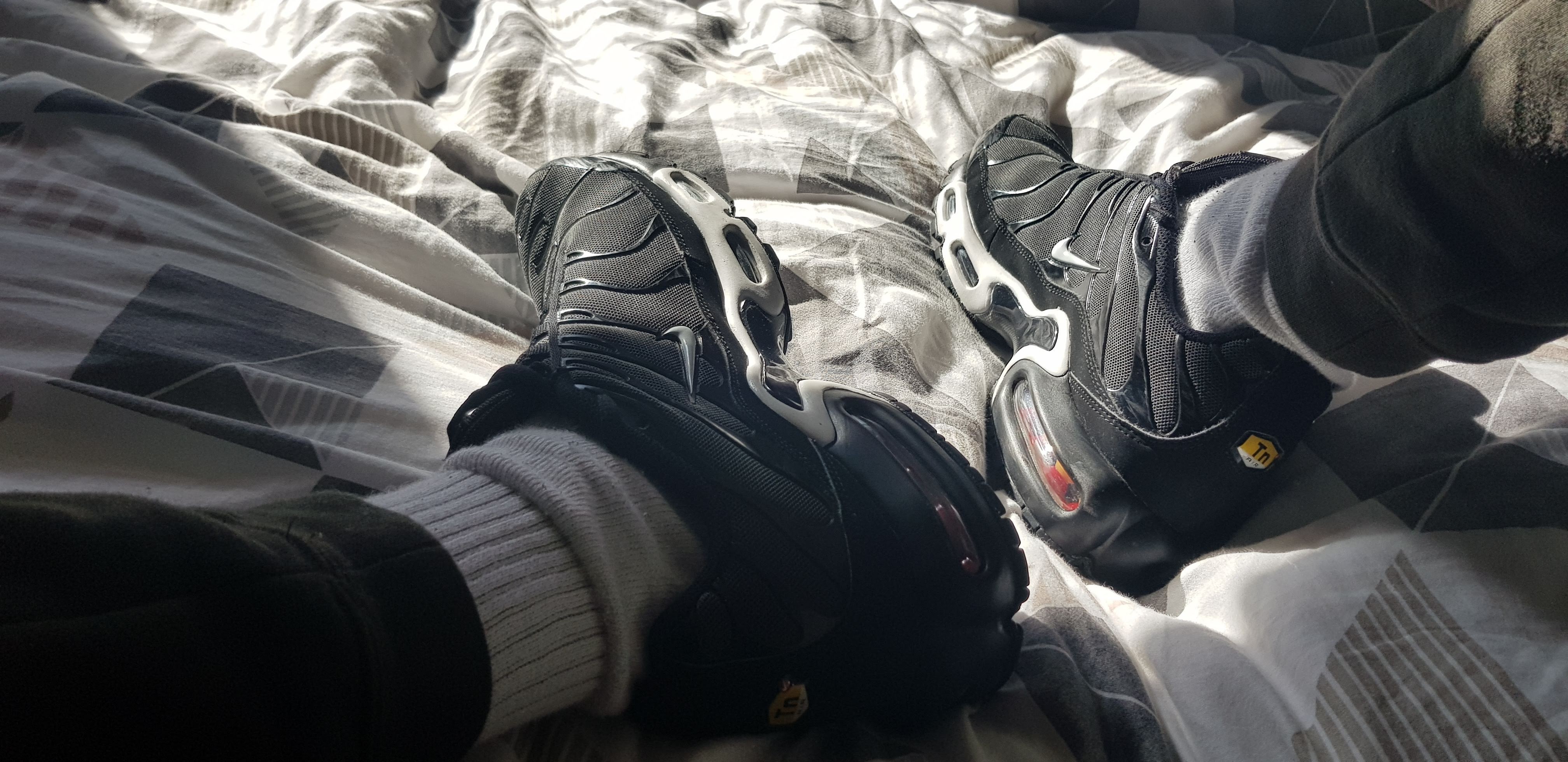 Fitvers/scallylad29 OnlyFans header