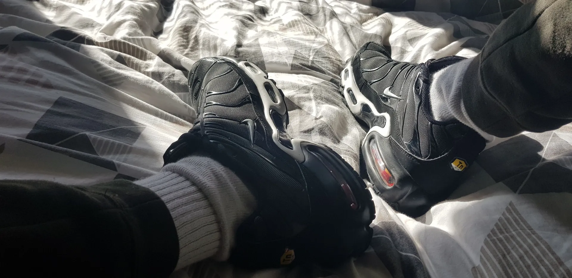 Fitvers/scallylad29 OnlyFans header