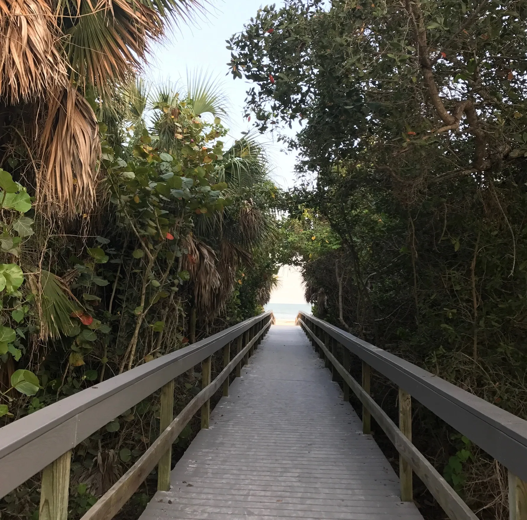 amelia OnlyFans header