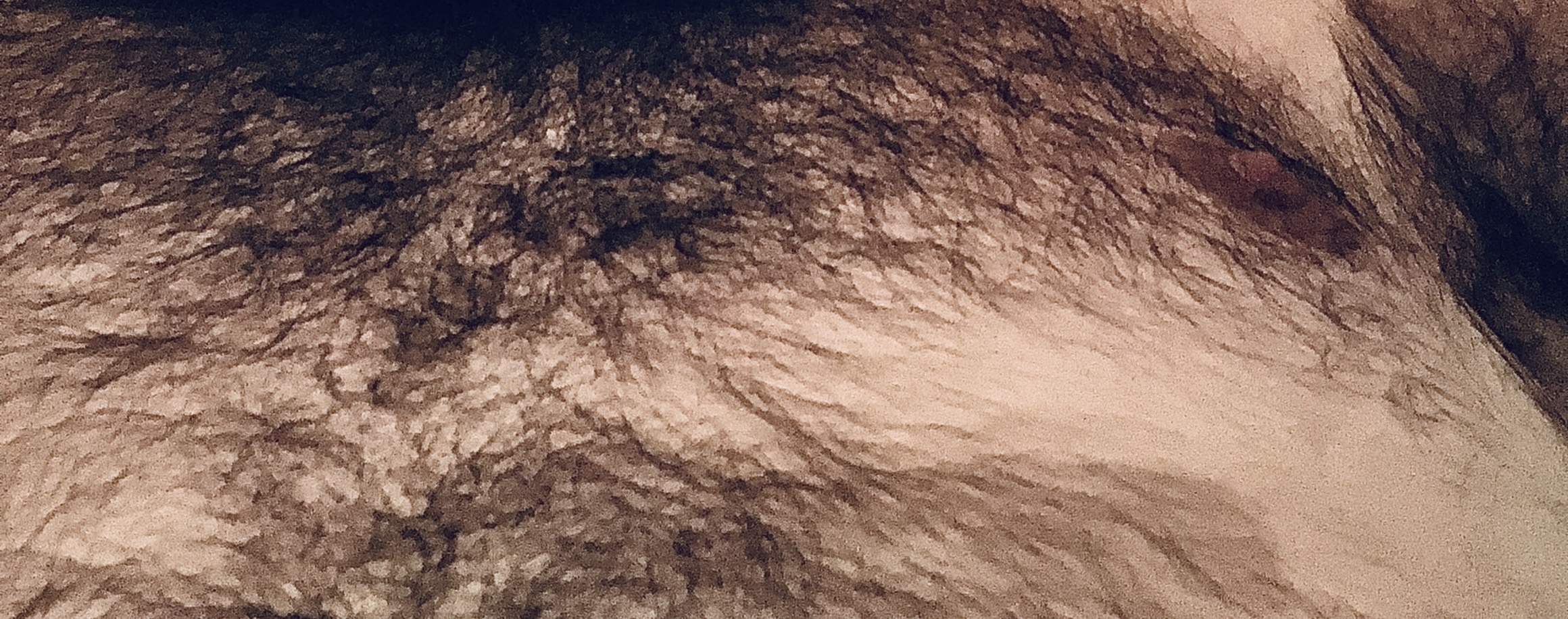 FITZGERALD OnlyFans header