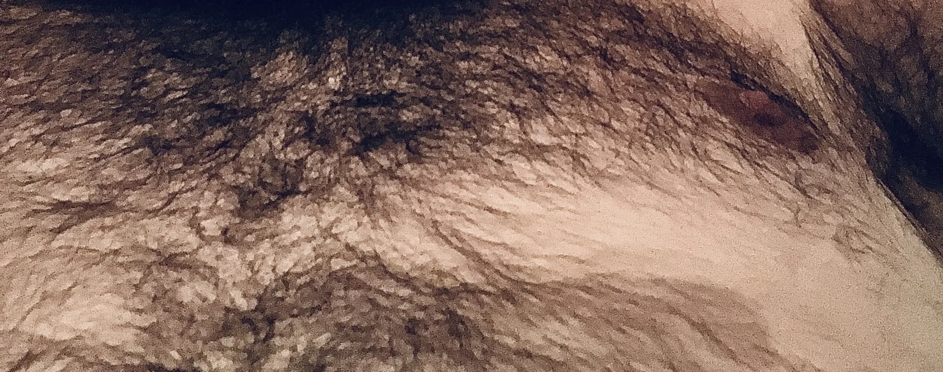 FITZGERALD OnlyFans header