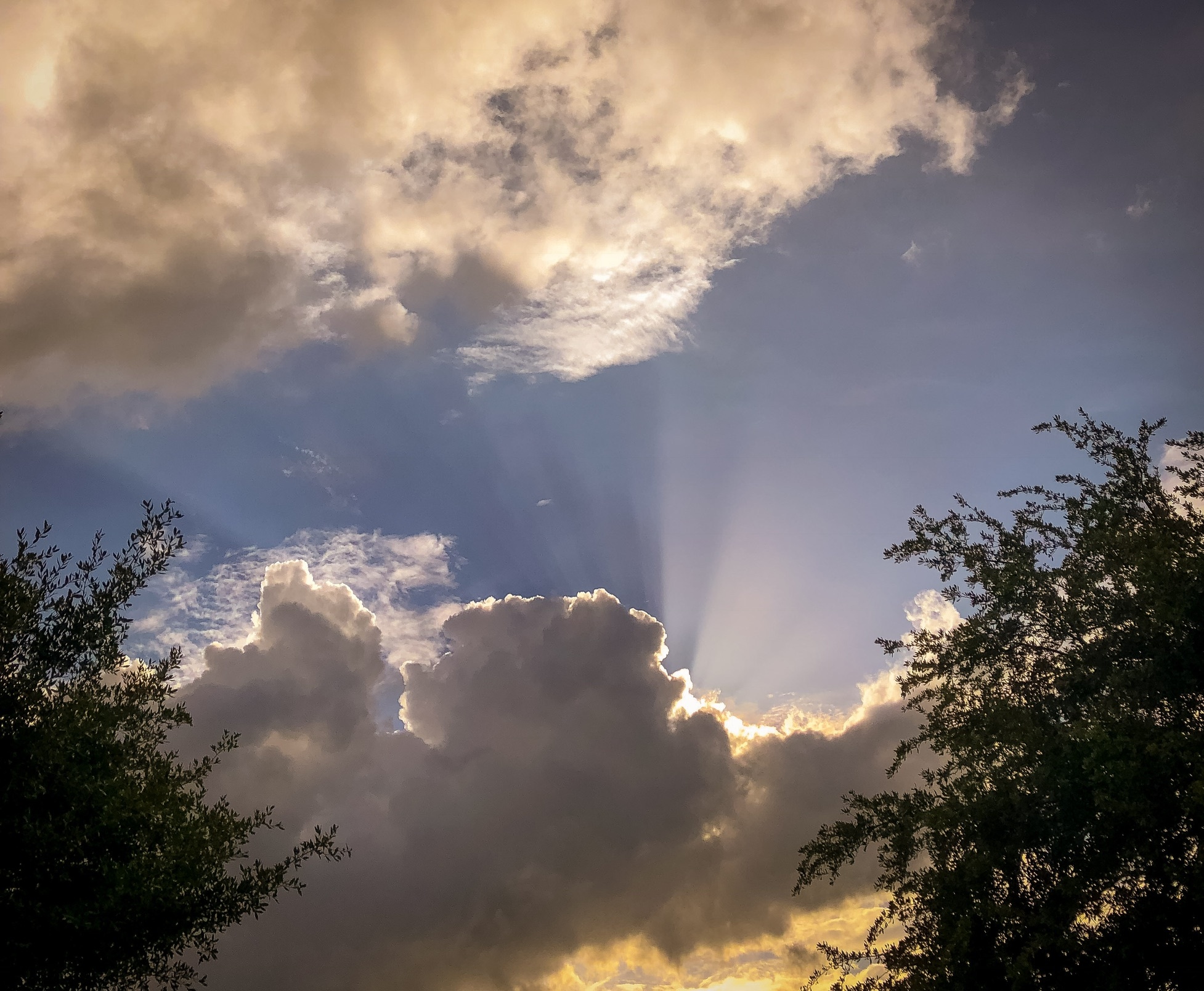 Paul OnlyFans header