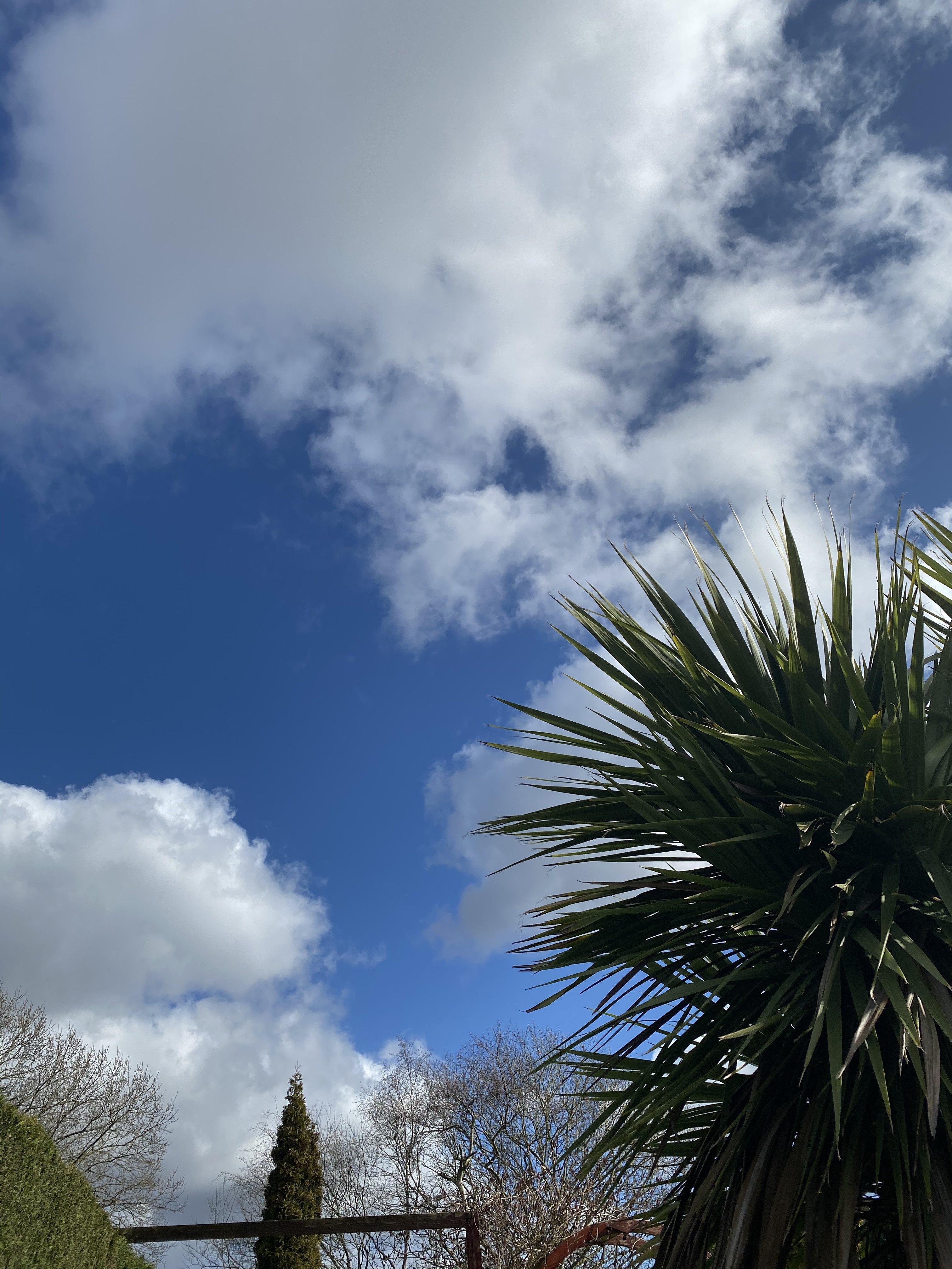 fineguy. OnlyFans header