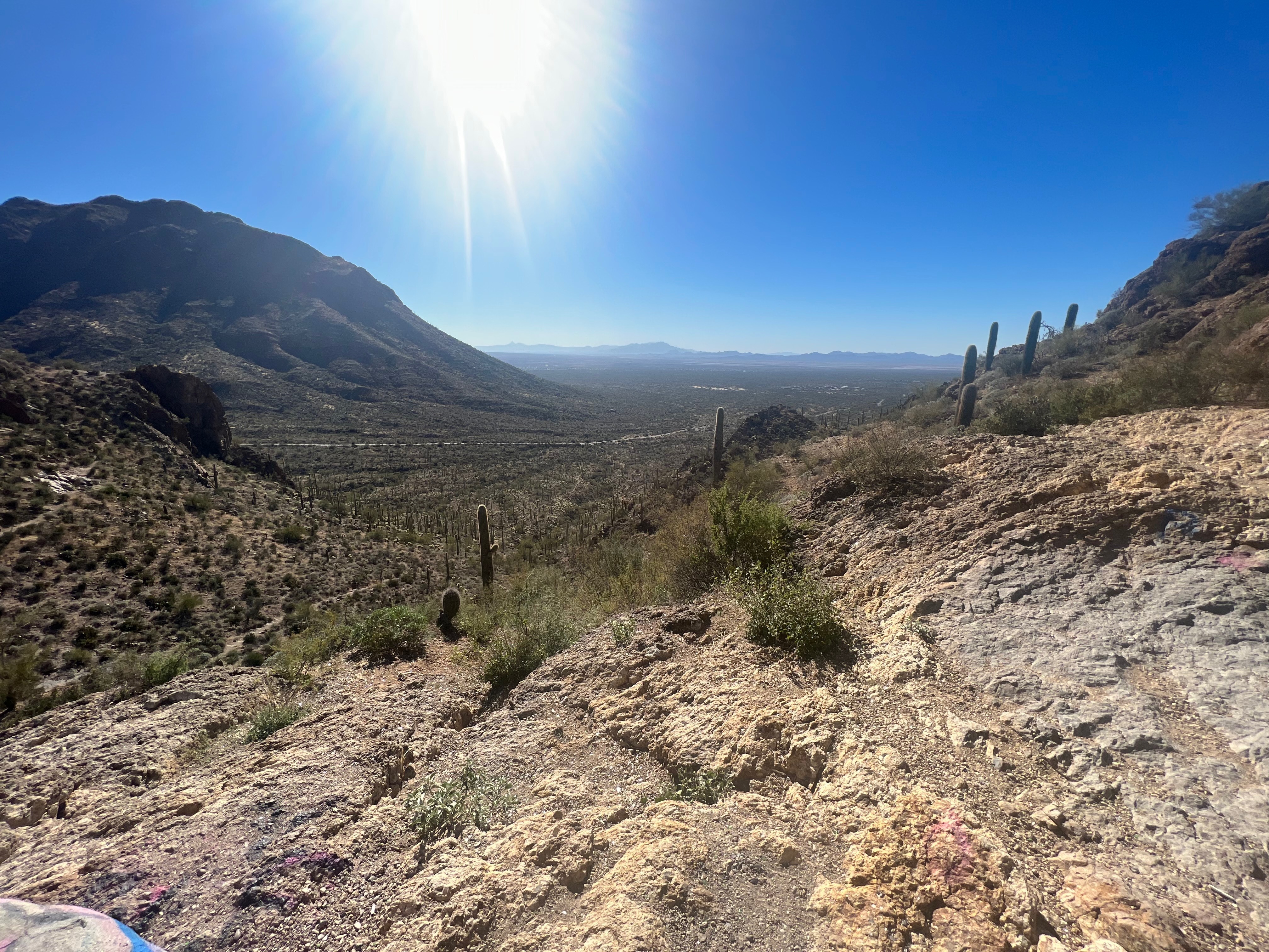 Dominic Alderete OnlyFans header