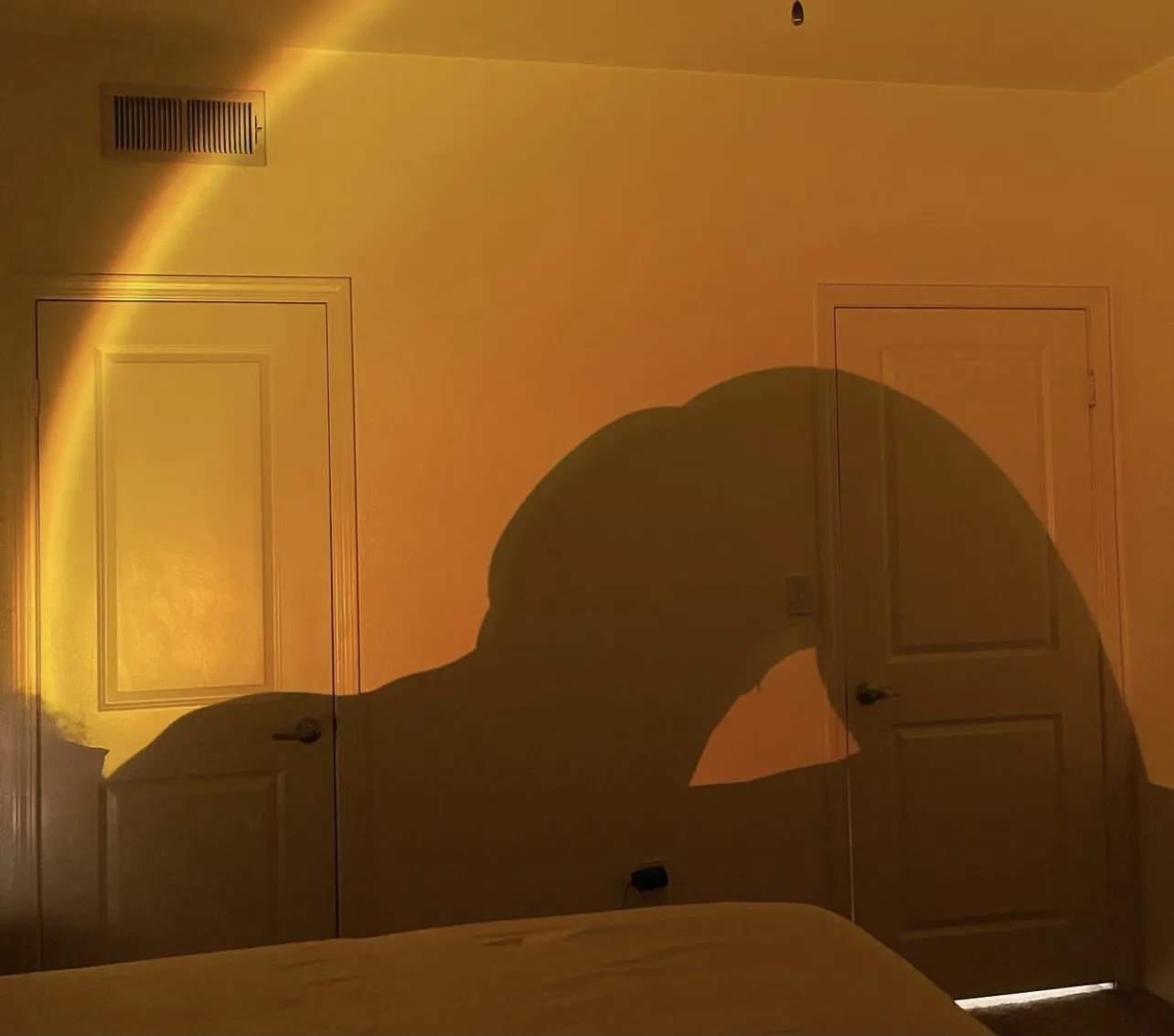 Nessa OnlyFans header