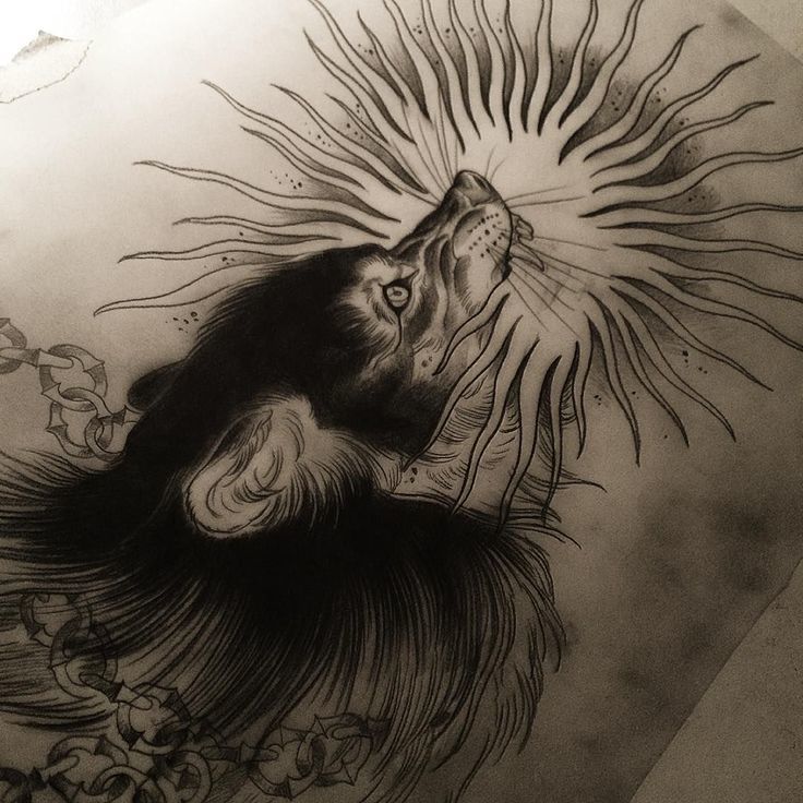 Fizgig1913 OnlyFans header