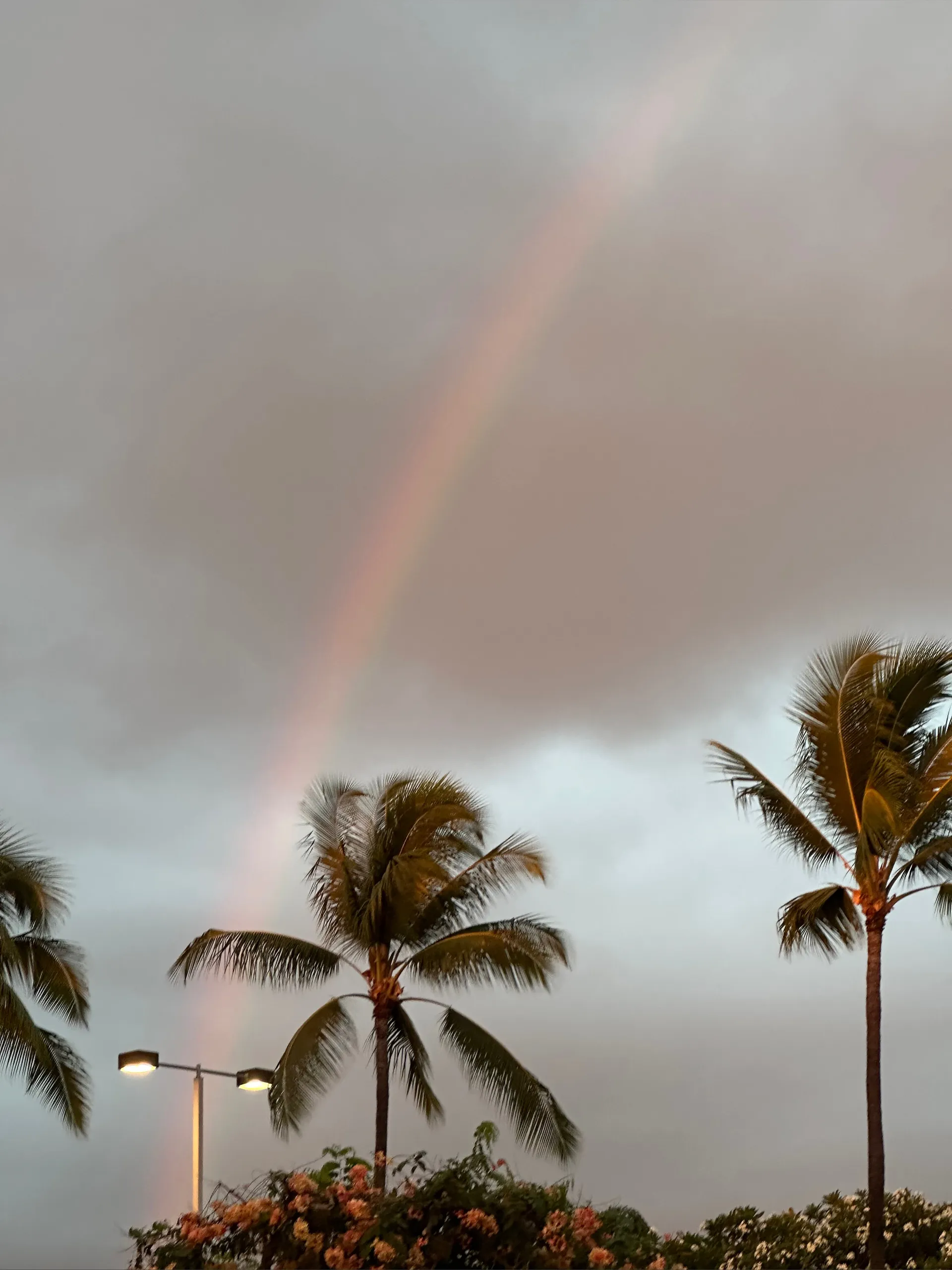 _________ OnlyFans header