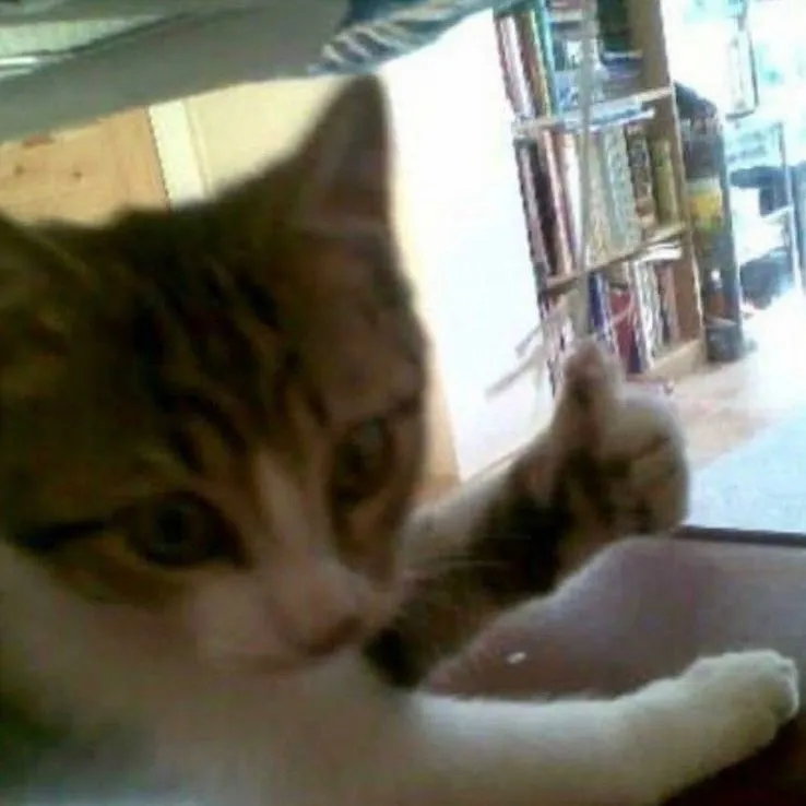 thomas OnlyFans header