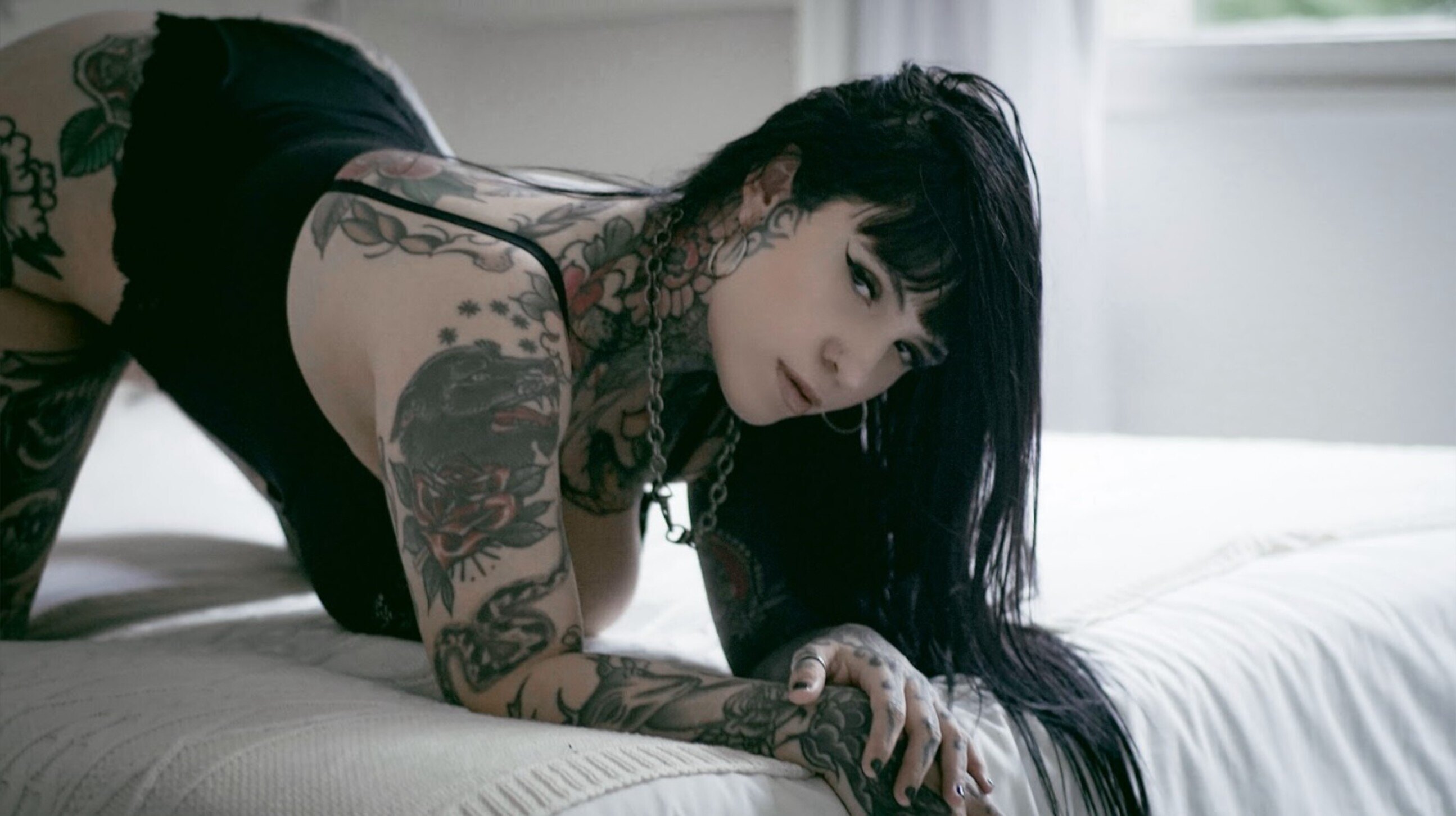 Flareon OnlyFans header