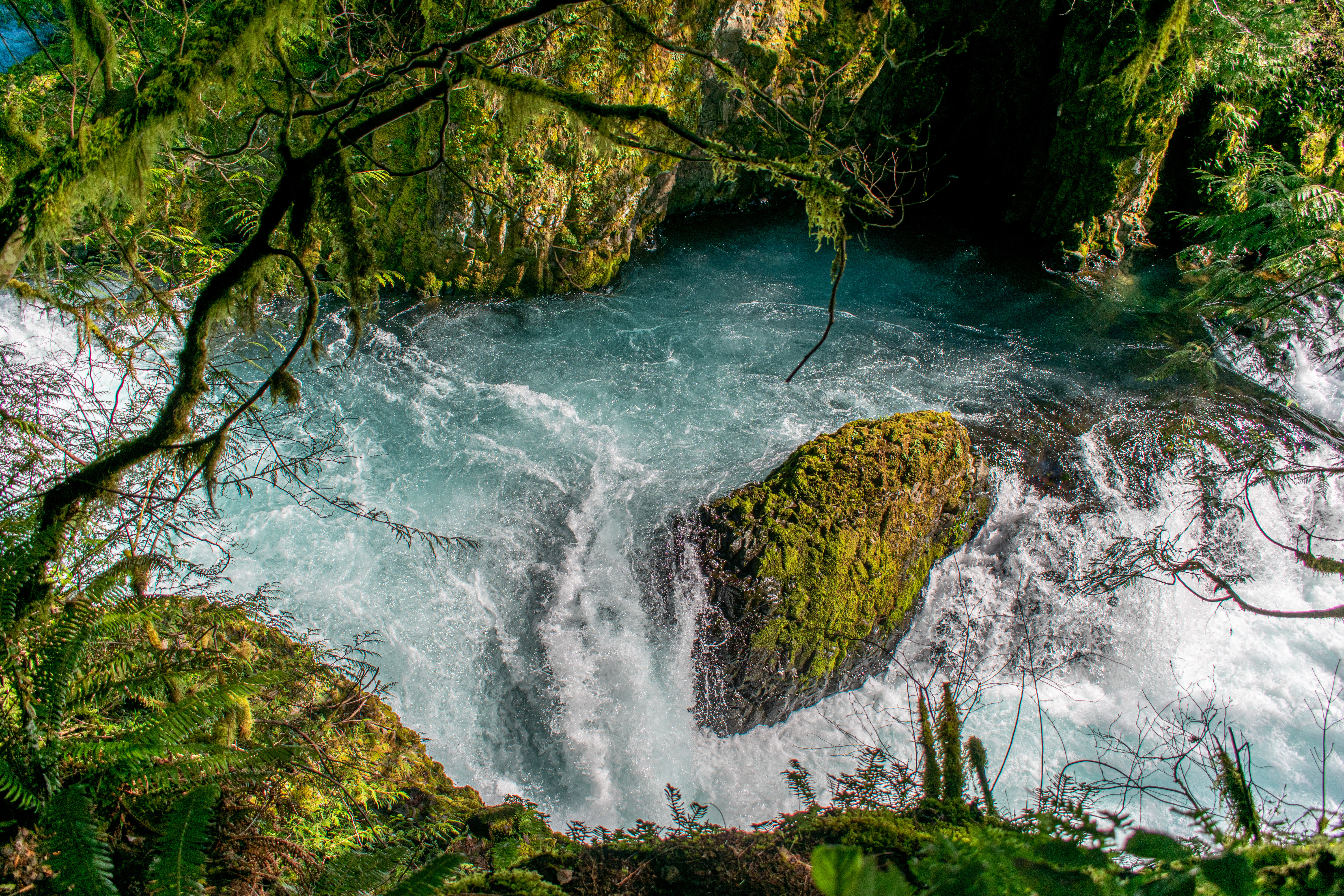 flower fairy OnlyFans header