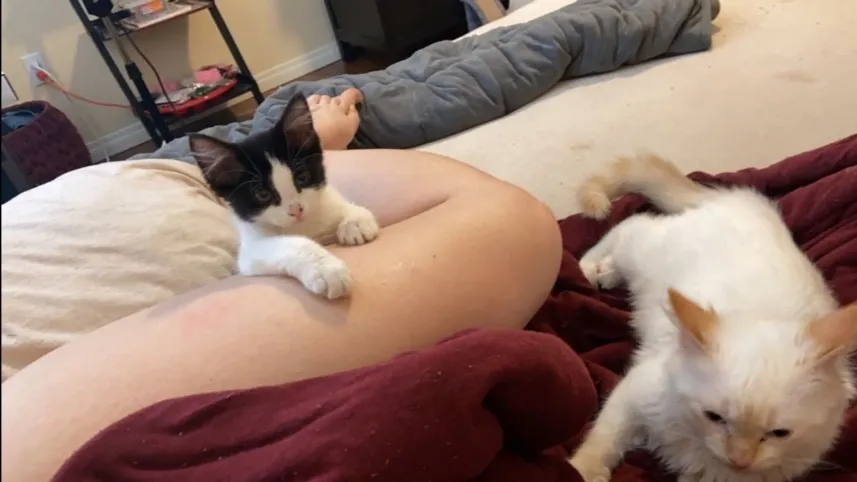 FaithJ OnlyFans header