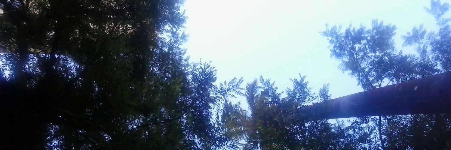 Nando Pedro 😌👌 OnlyFans header