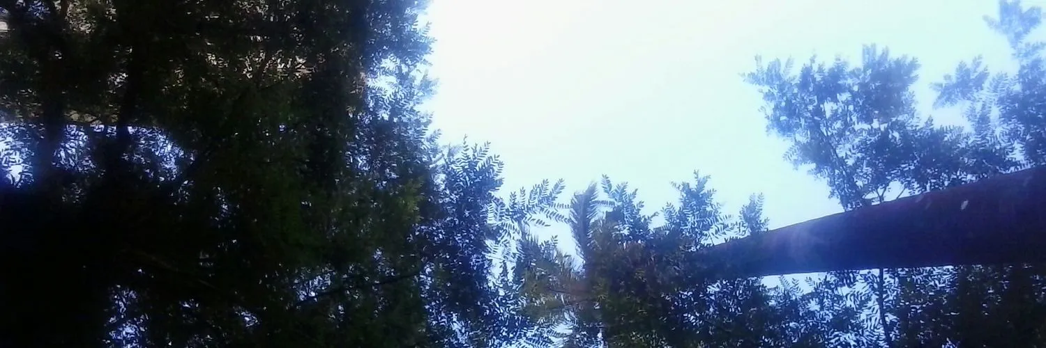 Nando Pedro 😌👌 OnlyFans header