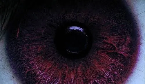 Your Friendly Neighborhood Trans Fem Boi OnlyFans header