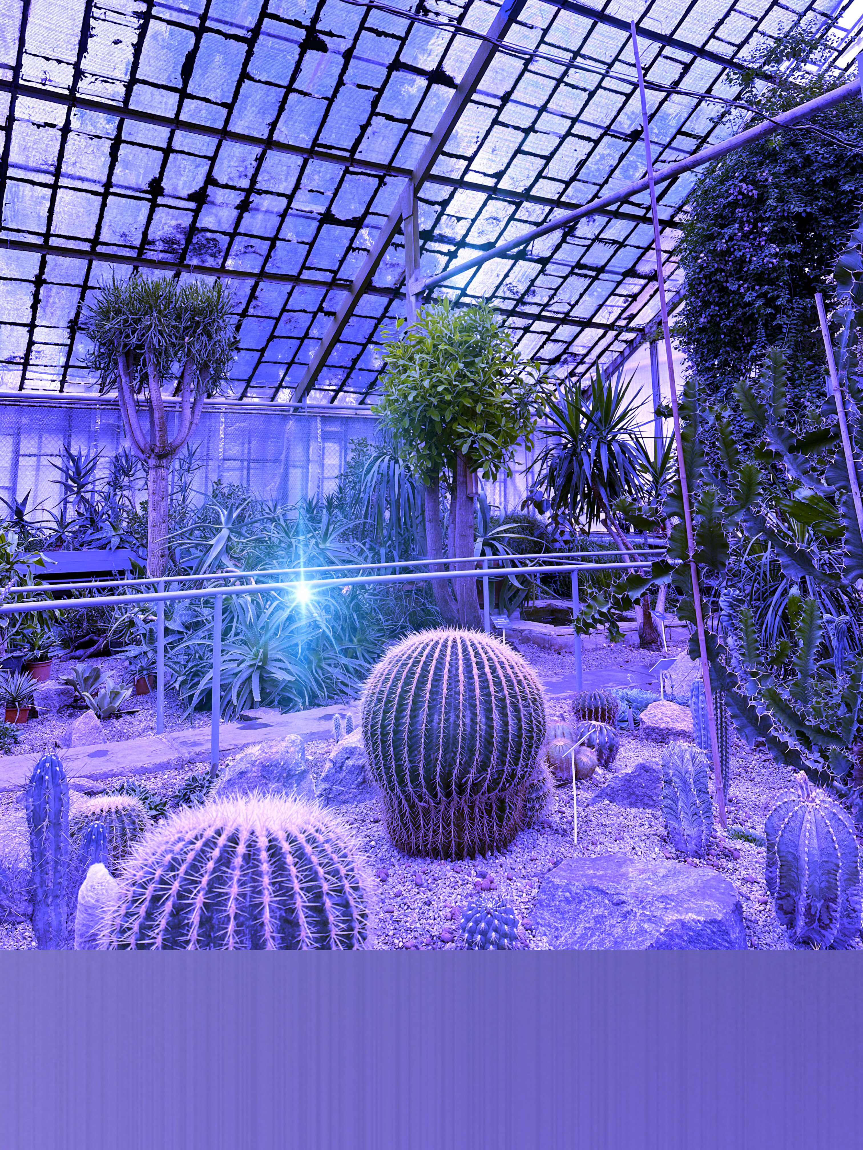 Marя OnlyFans header