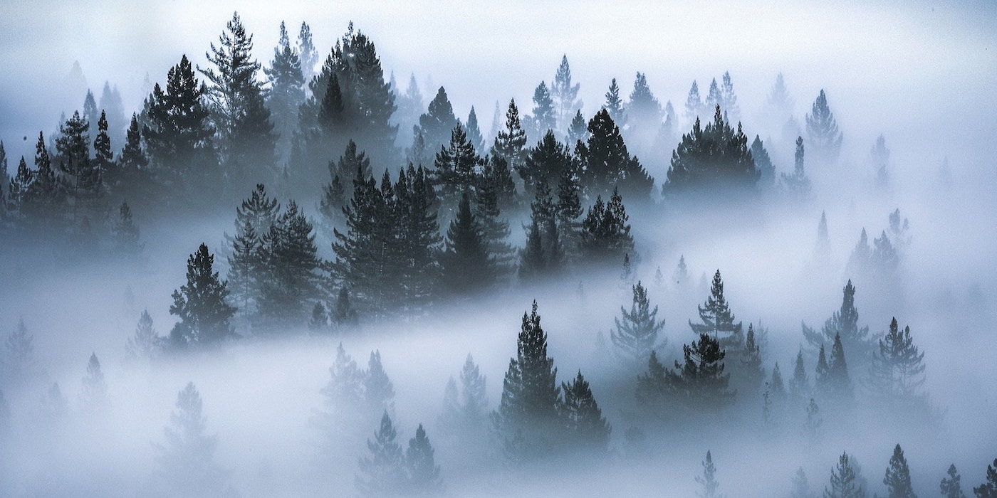 Fog Dog OnlyFans header