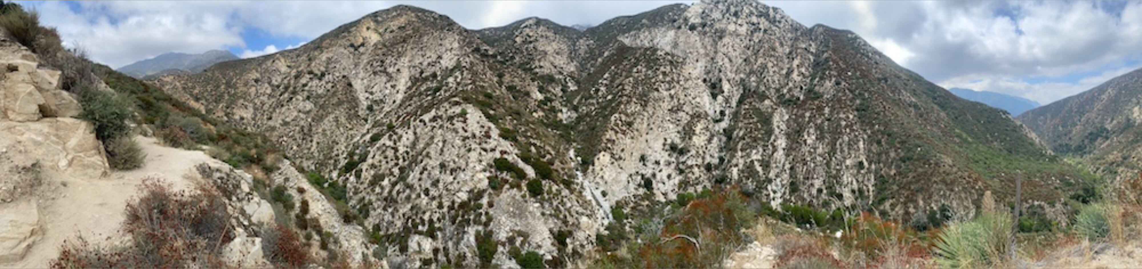 Fogerty Leggett OnlyFans header