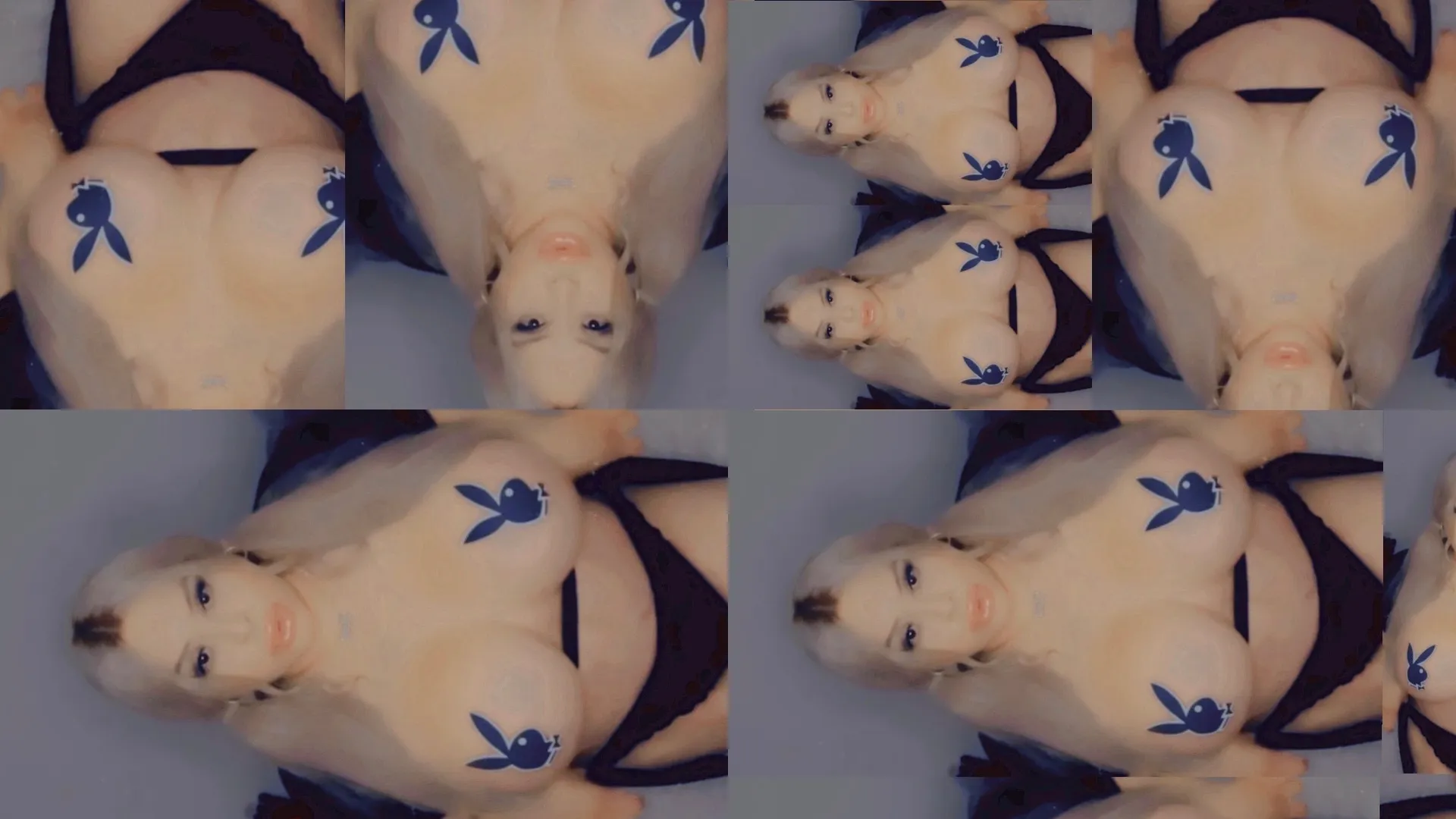 Followchanel OnlyFans header