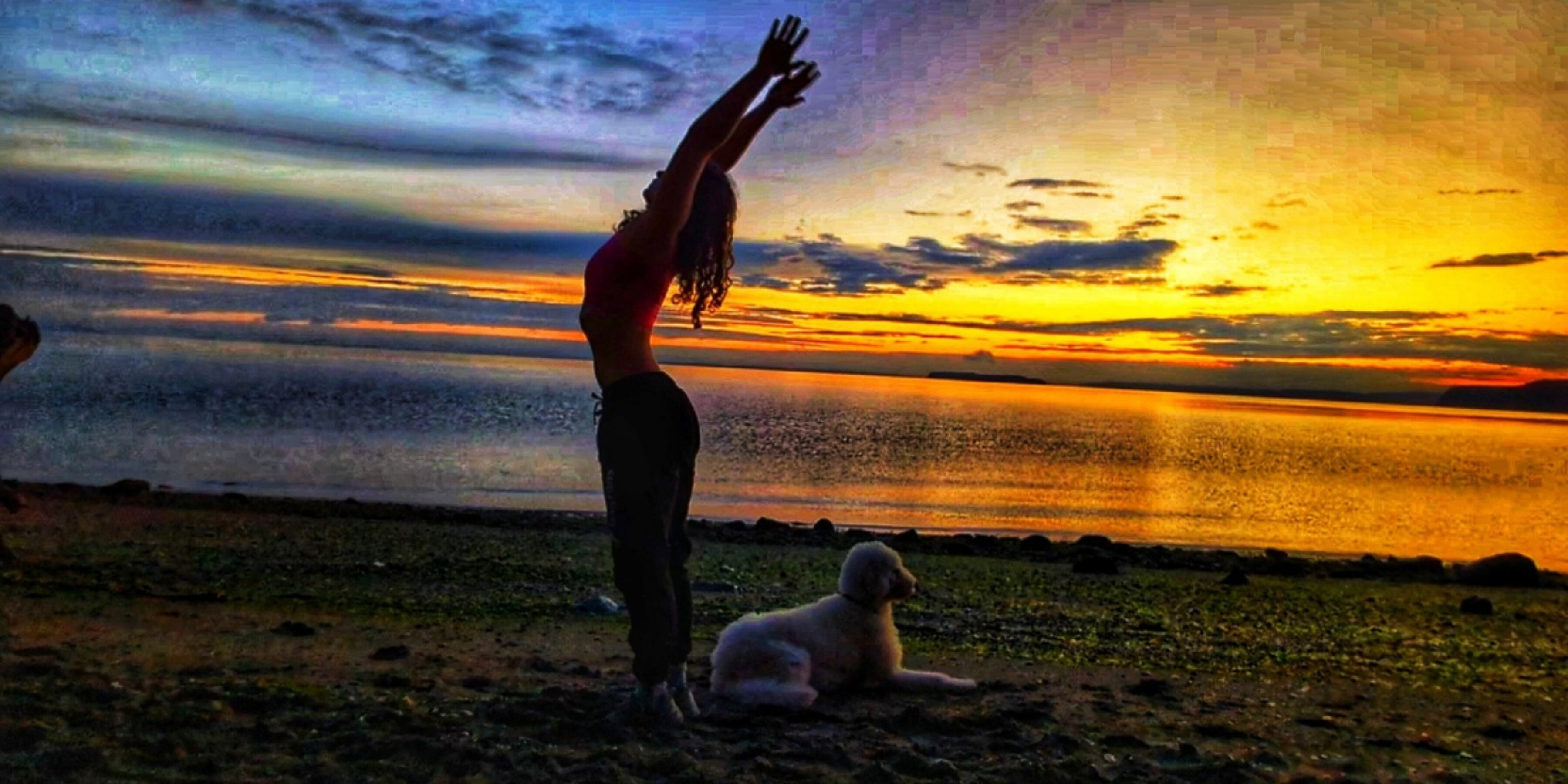 Daisy May, RYT-200 OnlyFans header