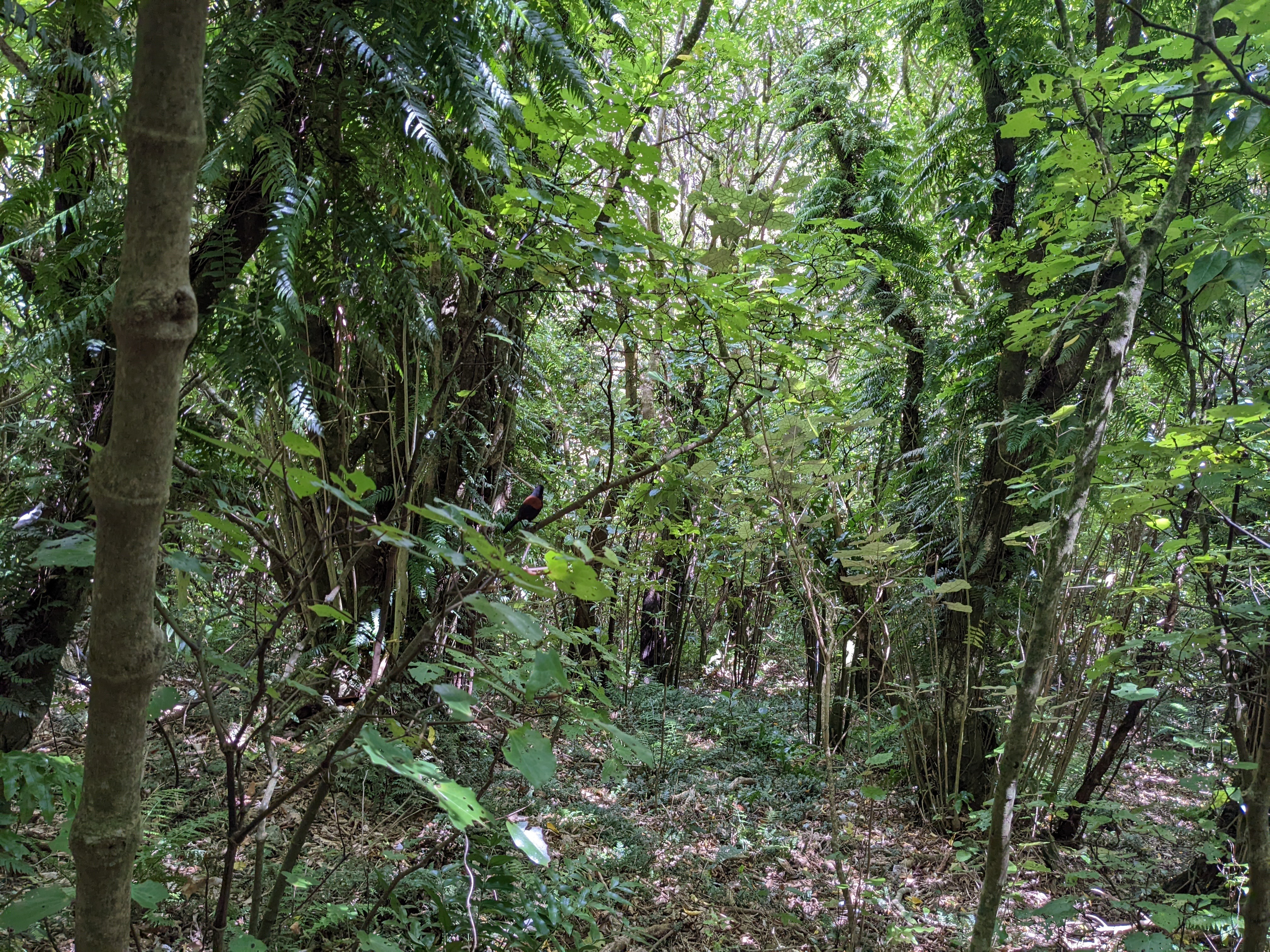 foobar OnlyFans header