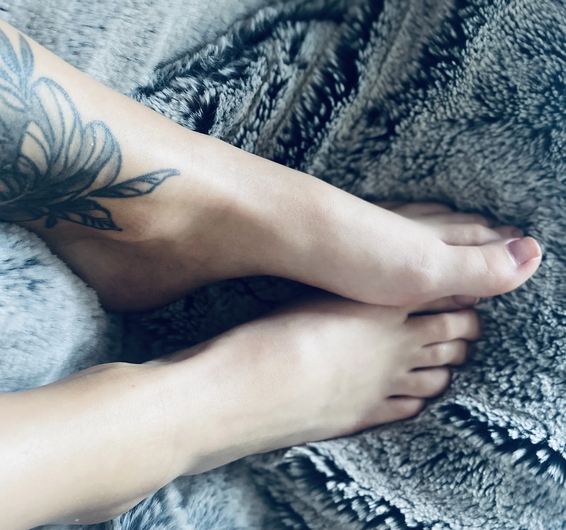 FoodandFeet OnlyFans header