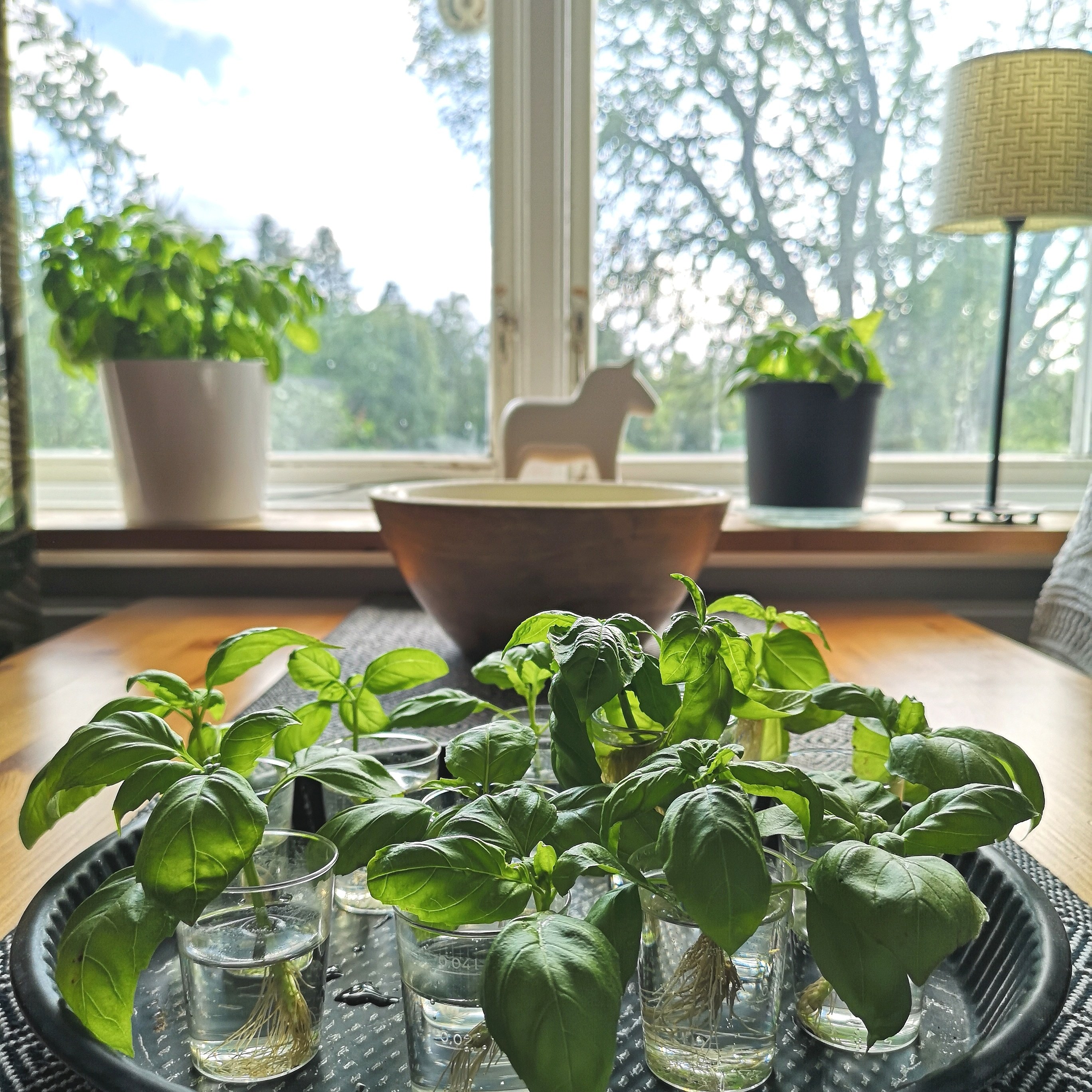 Foodandnature OnlyFans header