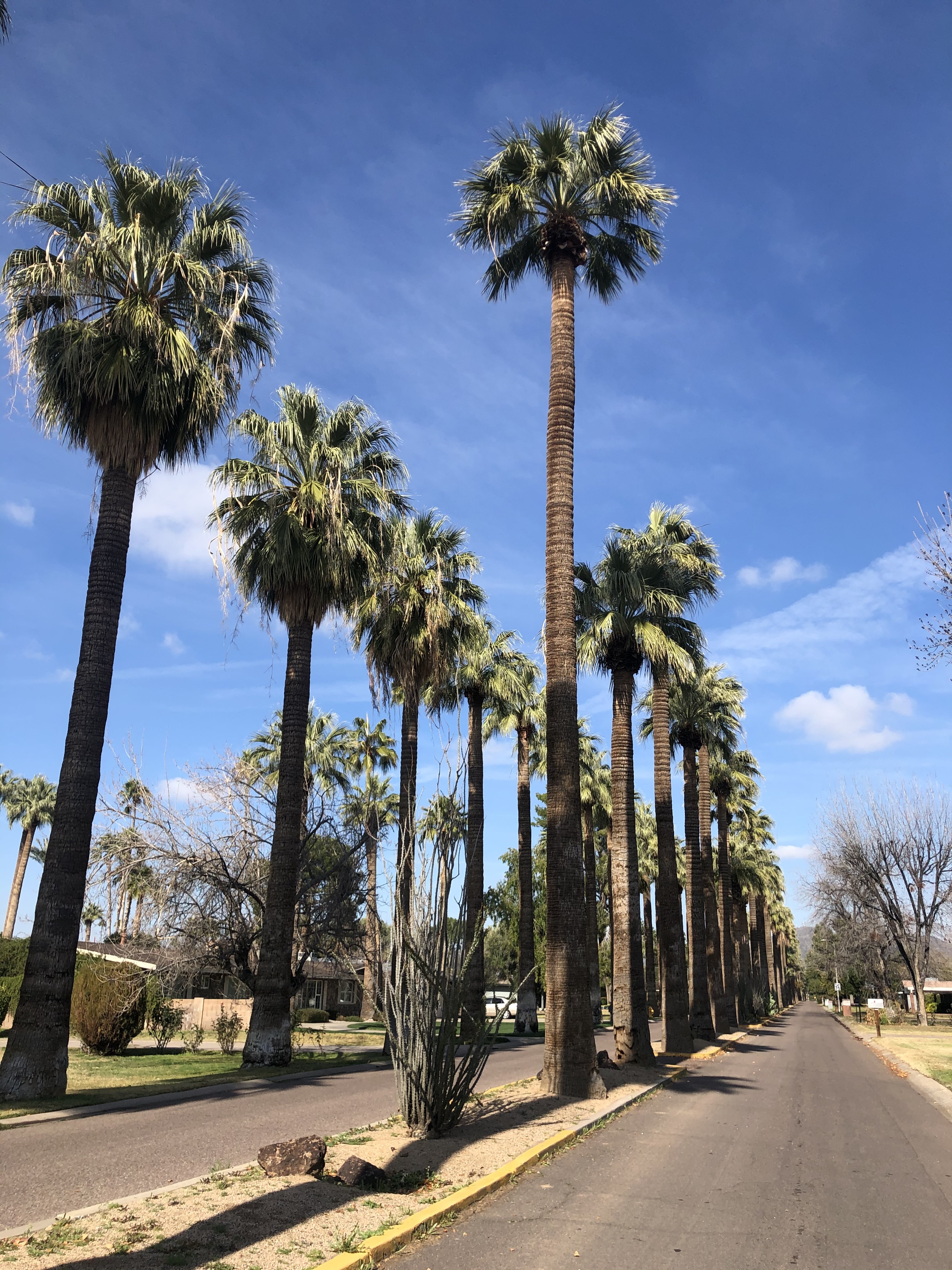 Foodie Judy OnlyFans header